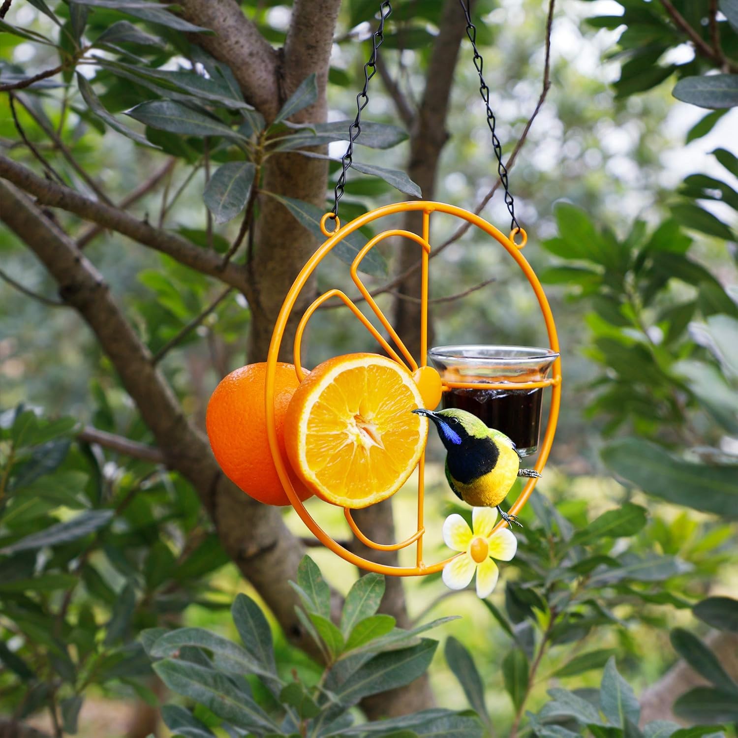 FORUP Oriole Bird Feeder for Outdoors Jelly and Oranges, Orange Fruit 