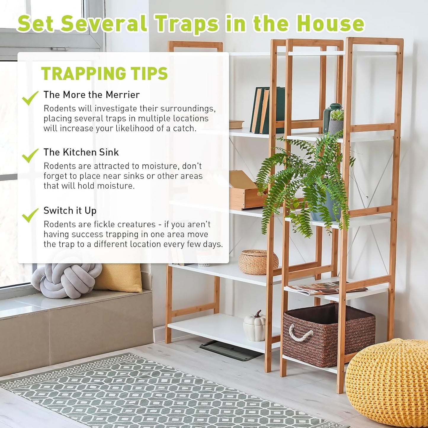 Glue Mouse Traps Indoor for Home, Rat Trap-12 Pack, Large Heavy Duty G