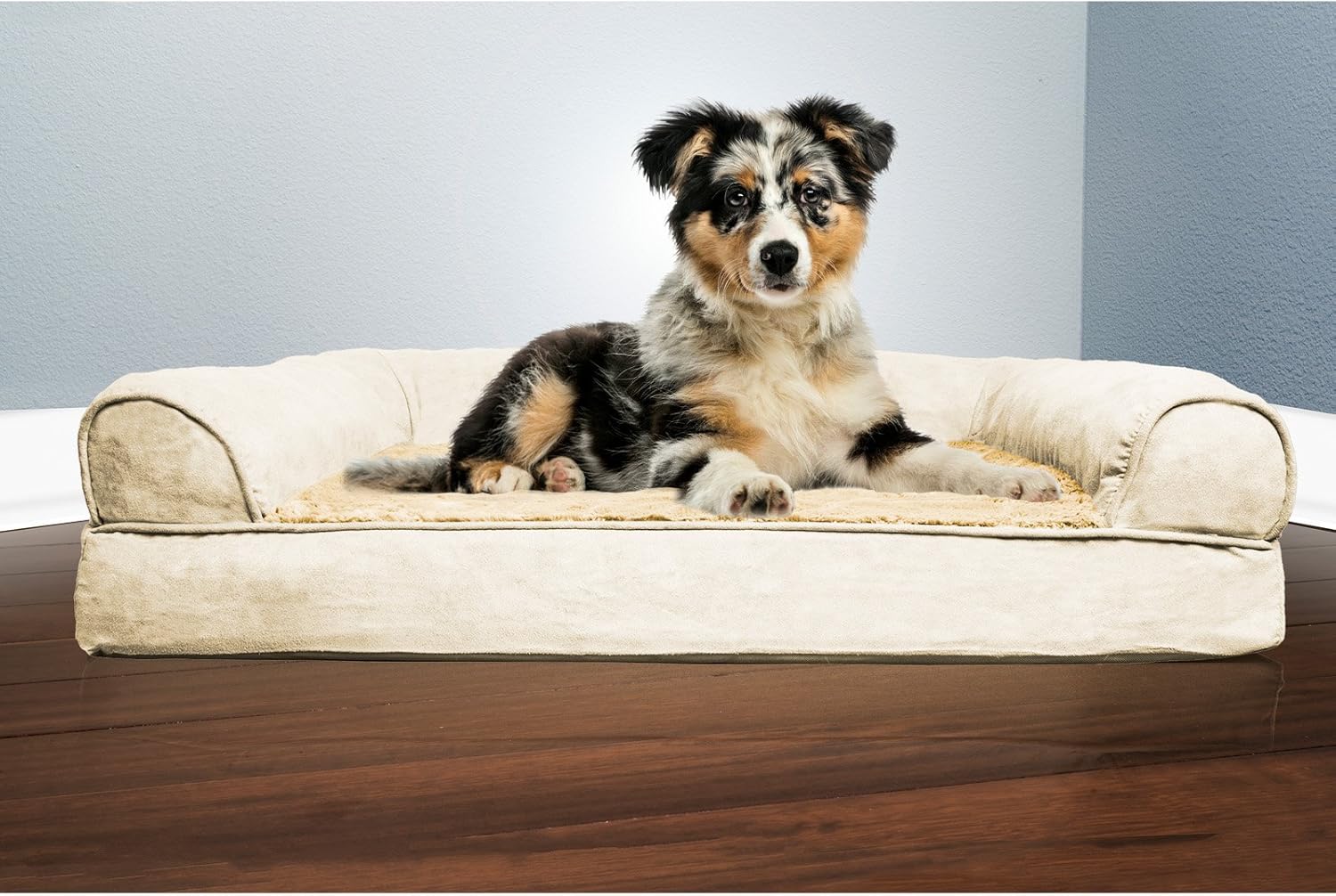 Furhaven Orthopedic Dog Bed for Medium/Small Dogs w/ Removable Bolster