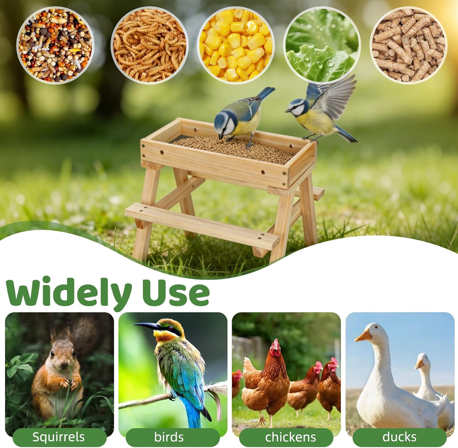 Squirrel Picnic Table Feeder, DIY Wood Building Kits with Paint Set,fo