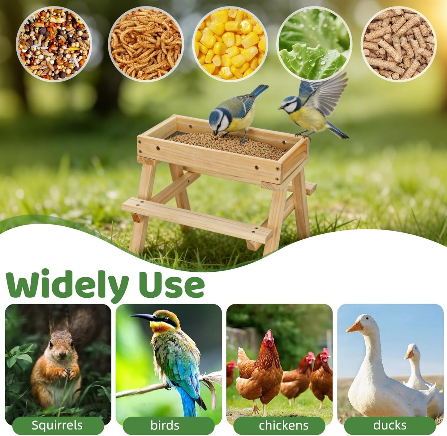 Squirrel Picnic Table Feeder, DIY Wood Building Kits with Paint Set,for Wild Birds, Chickens, Ducks, Squirrels & Other Poultry, Build Your Own Bird Feeder