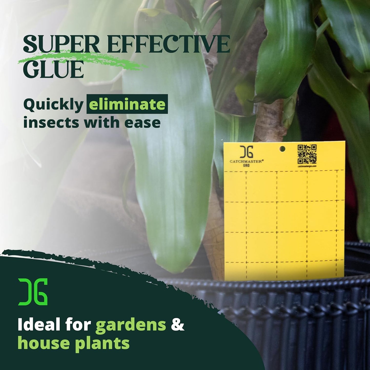 Catchmaster GRO Yellow Large Double Sided Sticky Traps 50PK, Adhesive 
