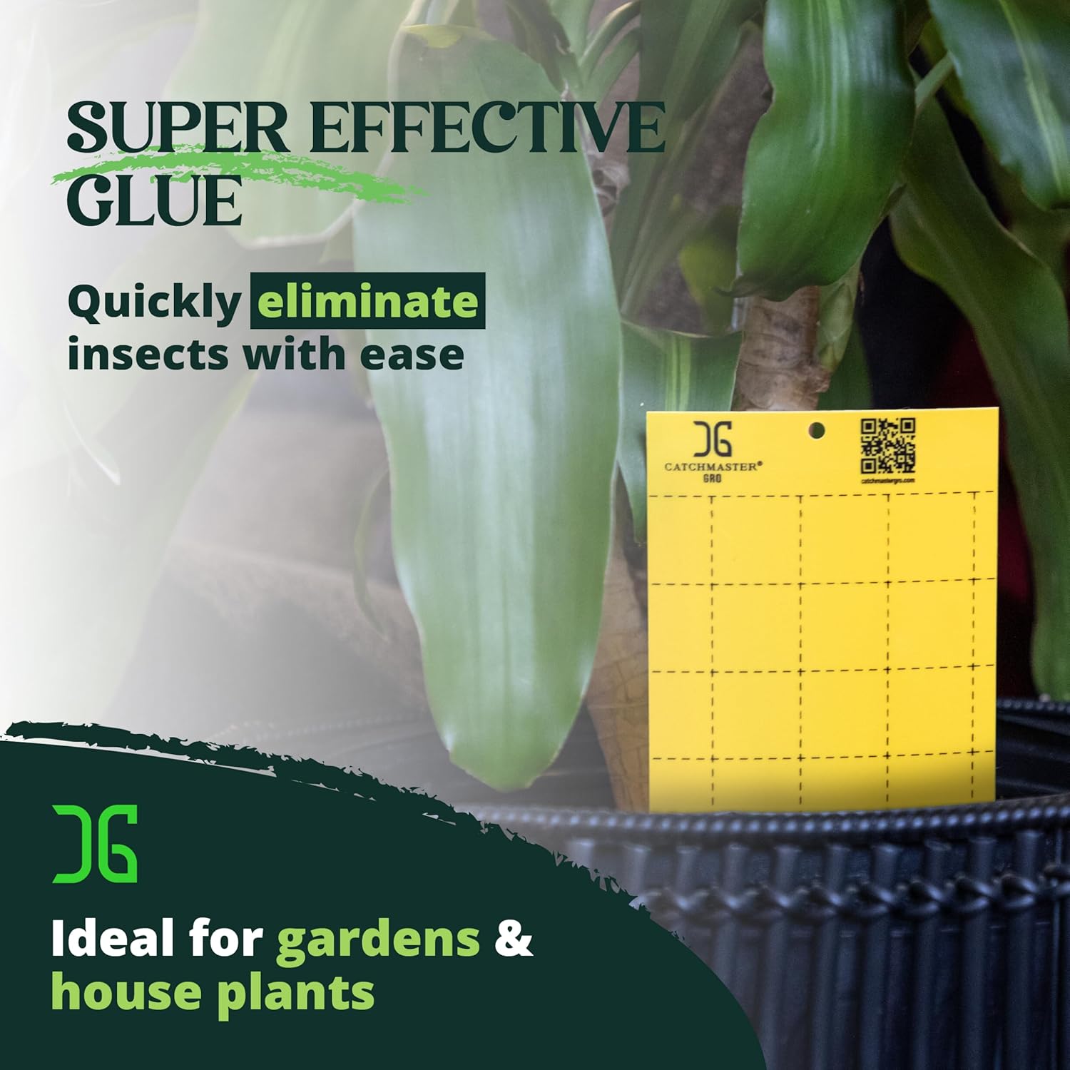 Catchmaster GRO Yellow Large Double Sided Sticky Traps 50PK, Adhesive 
