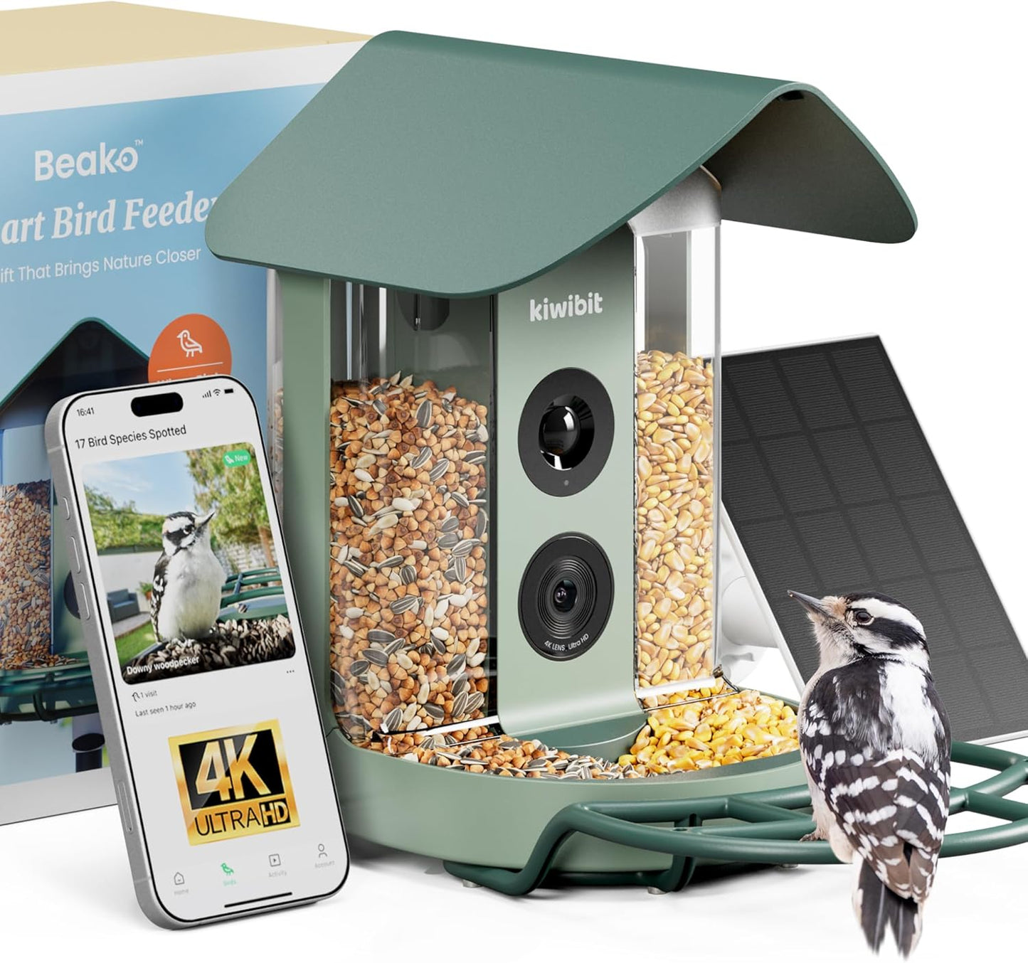 Smart Bird Feeder 4K AI Camera With Solar Panel For Outdoors, Bird Species Identification, 8MP Photos, 4K Video Livestream, Real-Time Bird Alerts, Birdwatching Gifts For Bird Lovers, Sage Pine