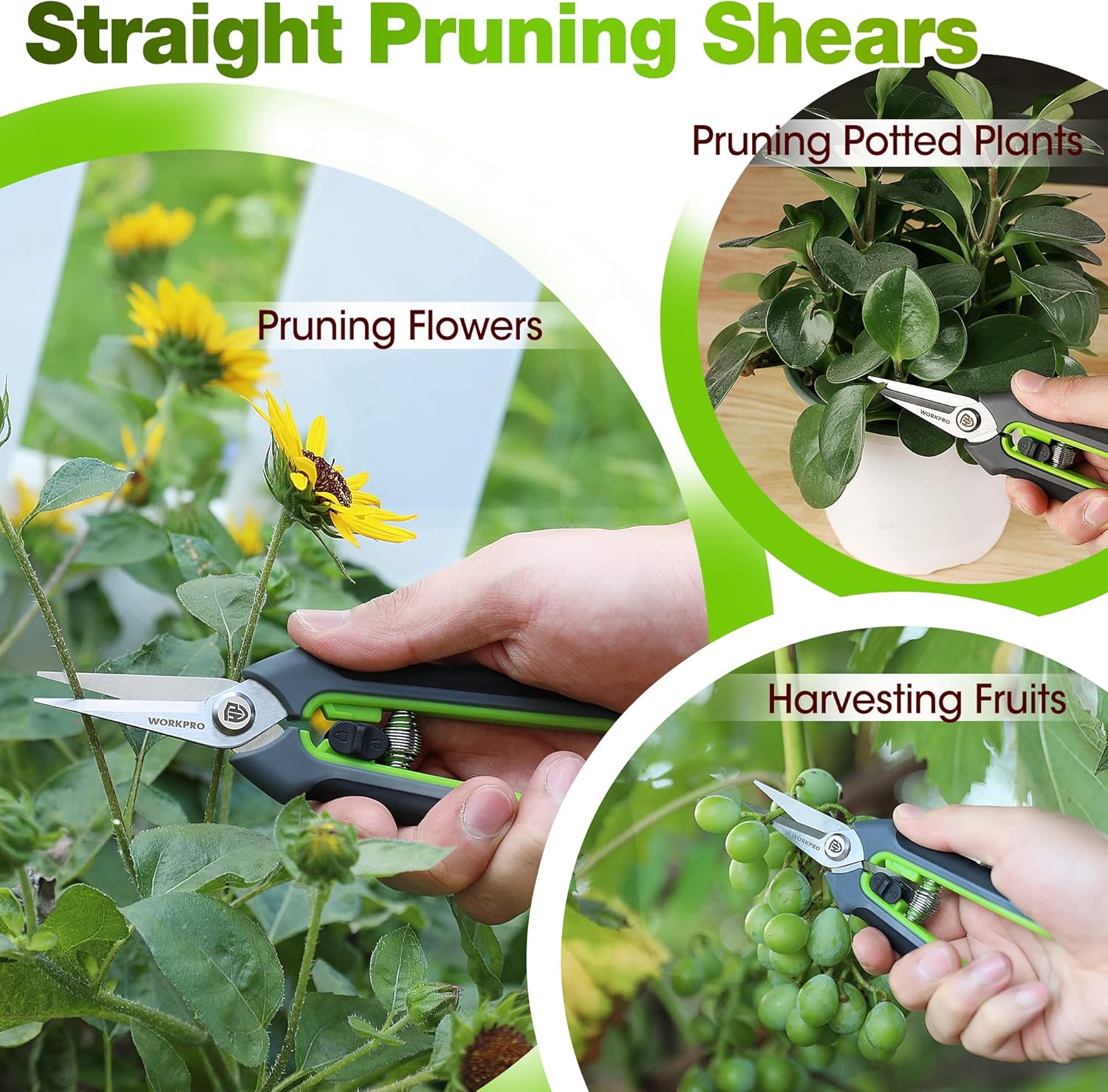 WORKPRO Garden Pruning Shears 2 Pack, 8" Bypass Pruning Shears and 6.2