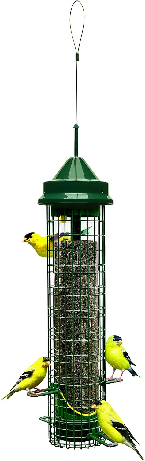 Squirrel Buster® Nyjer® – Squirrel-Proof Nyjer®/Thistle 2.4-pound Seed Capacity Feeder w/8 Feeding Ports & 4 Perches, Easy Fill & Clean, Durable Outdoor Feeder for Finches, Goldfinches & Small Birds