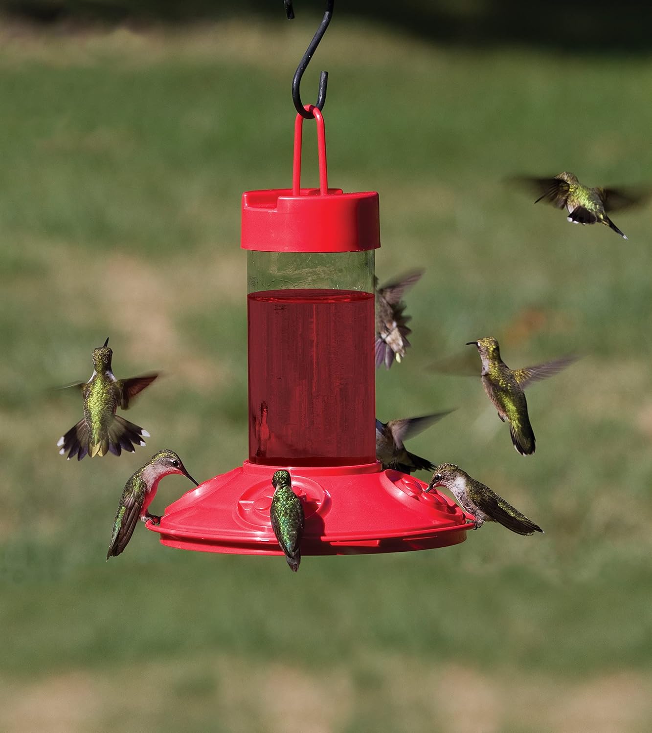 Songbird Essentials SE6002 Dr Jb's Clean Feeder, Red, 16-Ounce