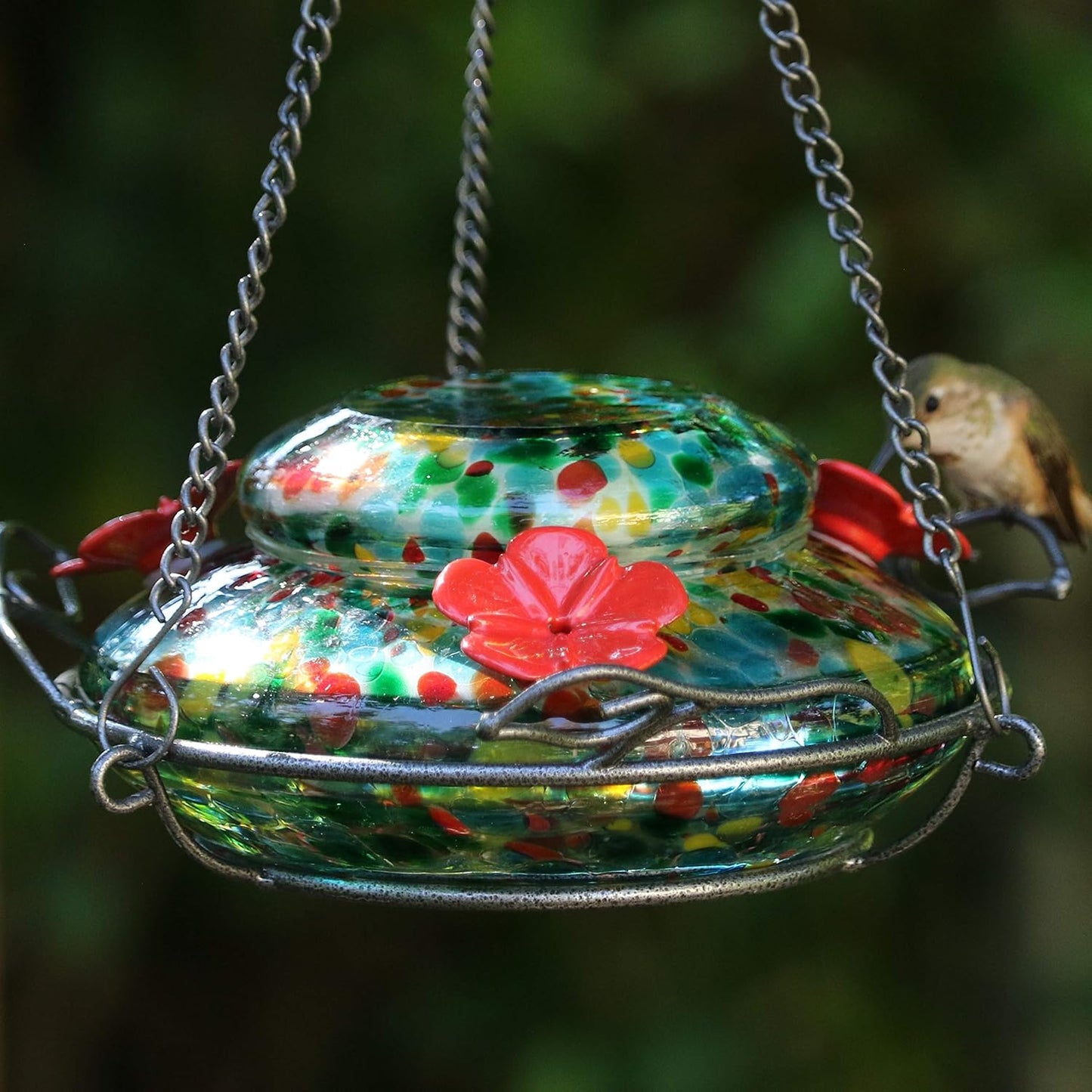 Nature's Way Brid Products WWGHF1 Top Fill Hummingbird Feeder