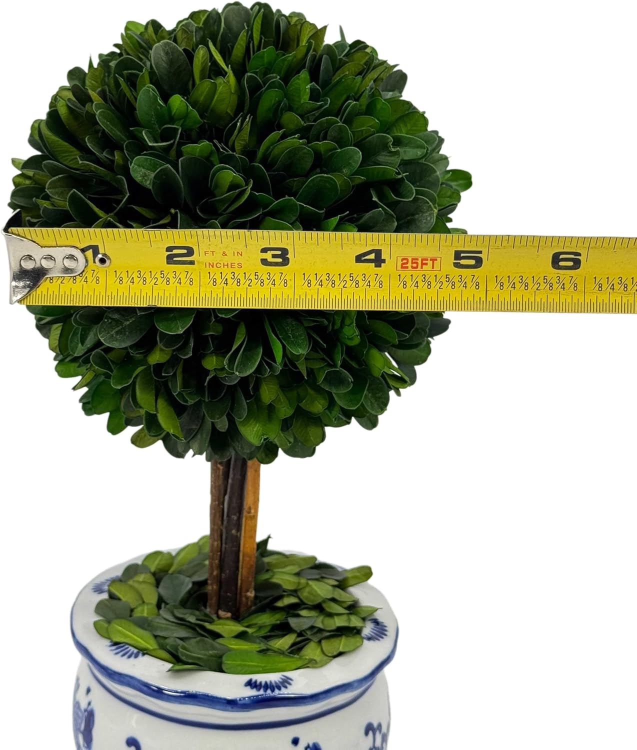 Galt International Naturally Preserved Boxwood Ball Topiary Tree in Round Hand Painted Blue & White Ceramic Pot Planter - European Rococo Home Decor Classic Chinoiserie Small 11" Tall Topiary
