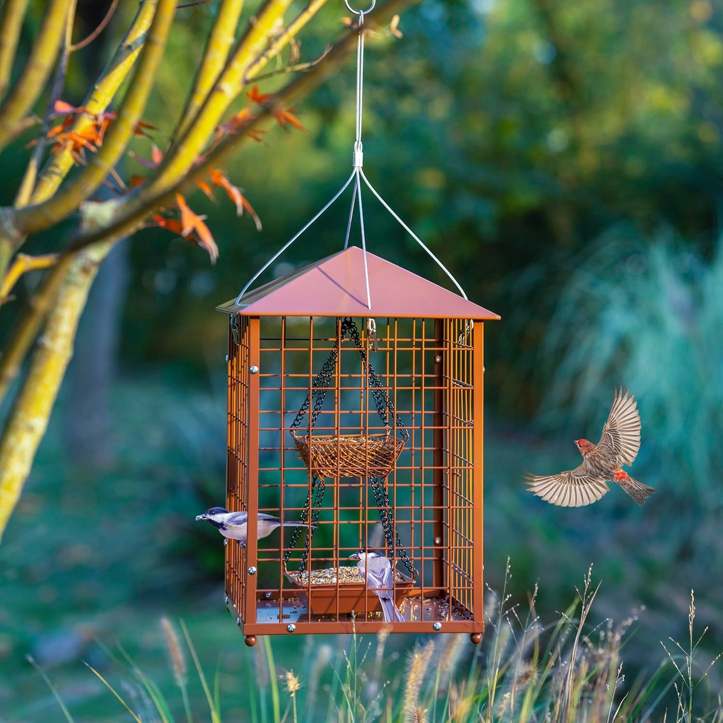 Mealworms Bird Feeders for Bluebirds - Metal - Huge Caged Squirrel-Proof Bird Feeders with 2 Cups, DIY Wild Bird Feeders Outdoor Hanging (Brown), Attract Wild Birds, 2lbs Seed Capacity+1 Mealworms Cup