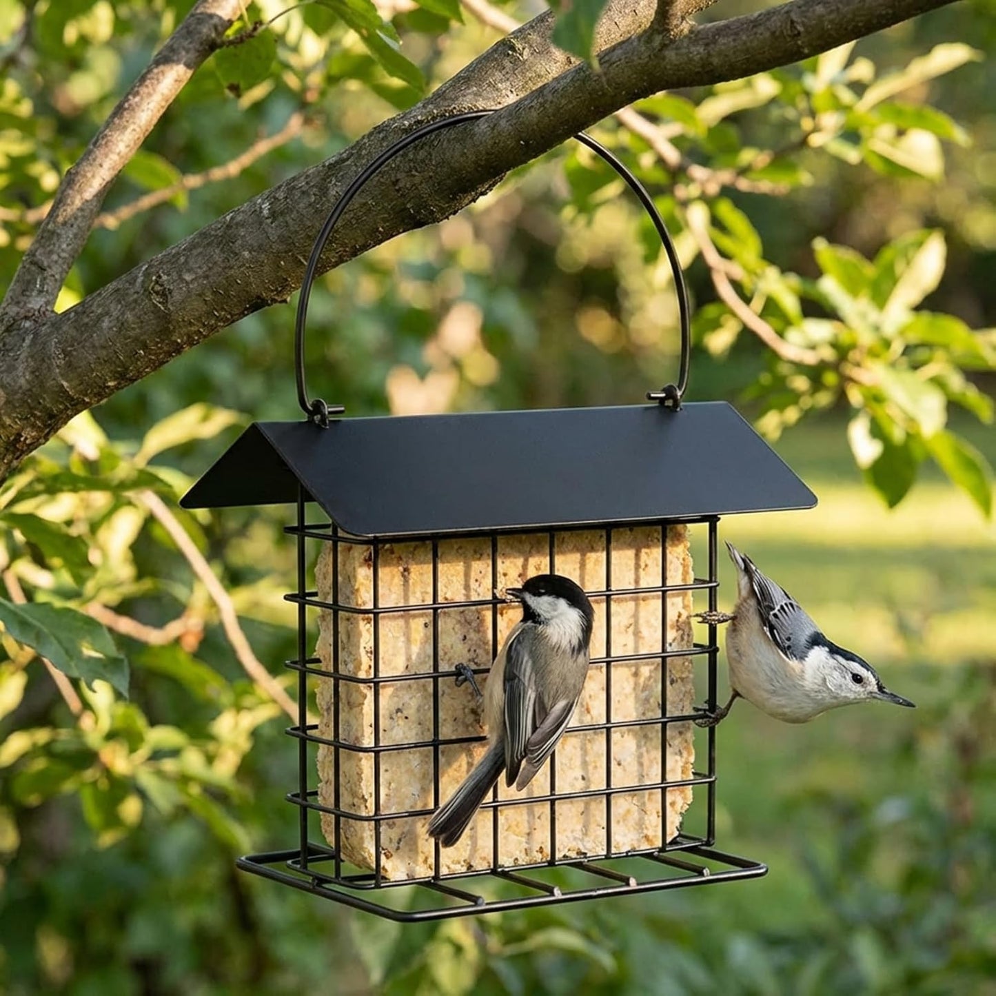 Hanging Bird Feeder Metal Squirrel-Proof Weatherproof Bird Feeders for Outside Large Capacity Wild Birds Feeder with Roof Black Hanging, Feeders for Outdoors, Fe