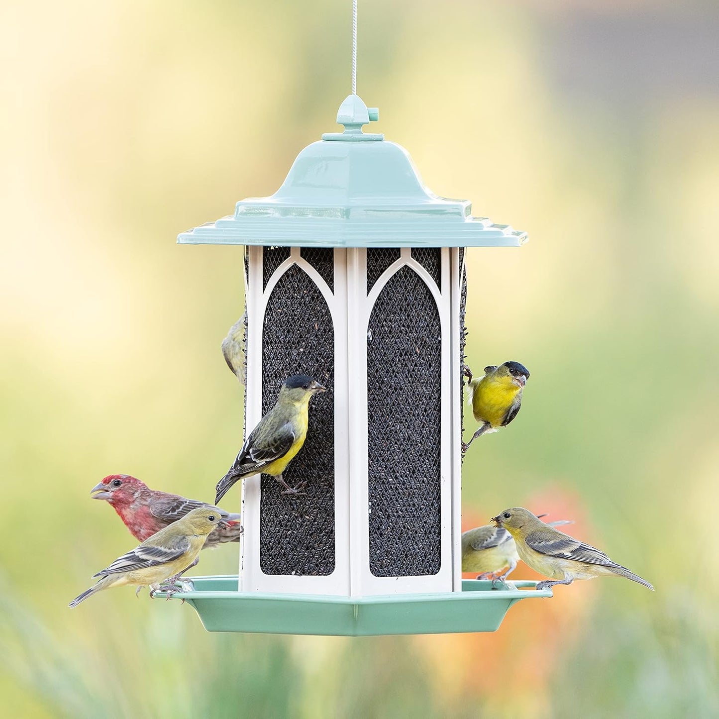 Perky-Pet Pistachio Gazebo Feeder - Wild Bird Feeder - GAZ01, Pistachio - Holds up to 3.5 lb Seeds - Easy to Fill, Easy to Clean, Rust Resistant Finish