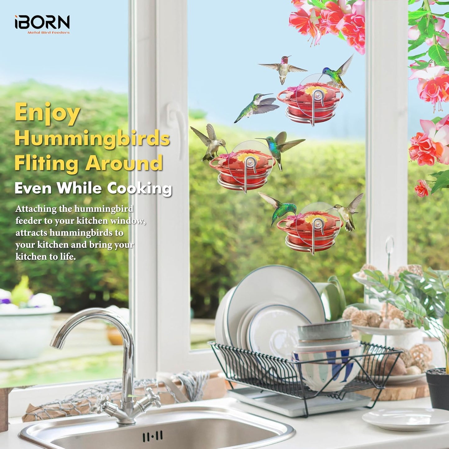 iBorn Window Hummingbird Feeder Mini Hummingbird Feeders for Outdoors, 3OZ Humming Bird Feeder with Strong Suction Cup, 3 Feeding Ports & Stainless Steel Base, 3 Set