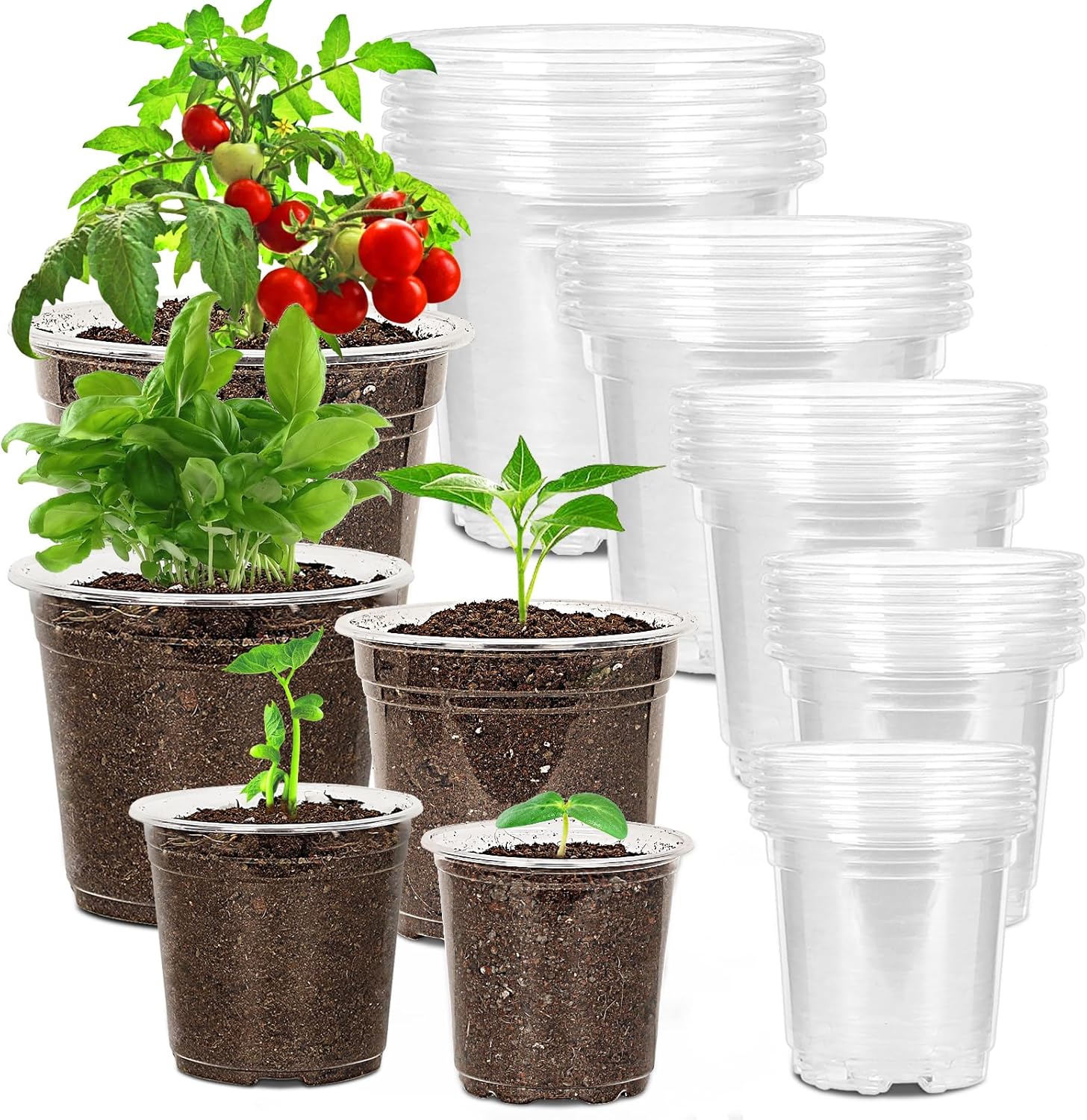 30 Pack 3.5/4/5/6/7 Inch Clear Nursery Pots with Drainage Holes, Trans