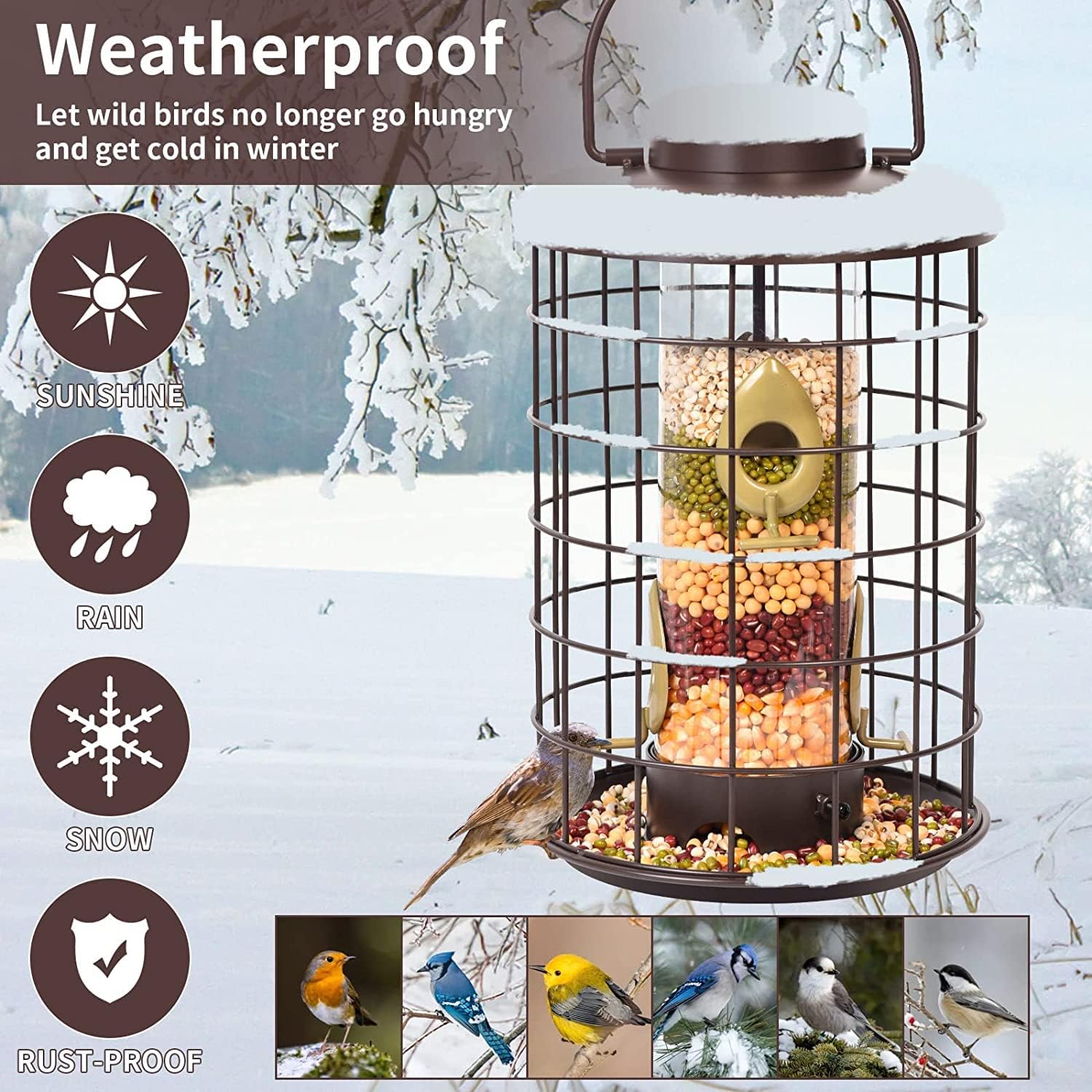 Caged Bird Feeders Metal - 3 Lbs - Squirrel-Proof Wild Bird Feeders, C