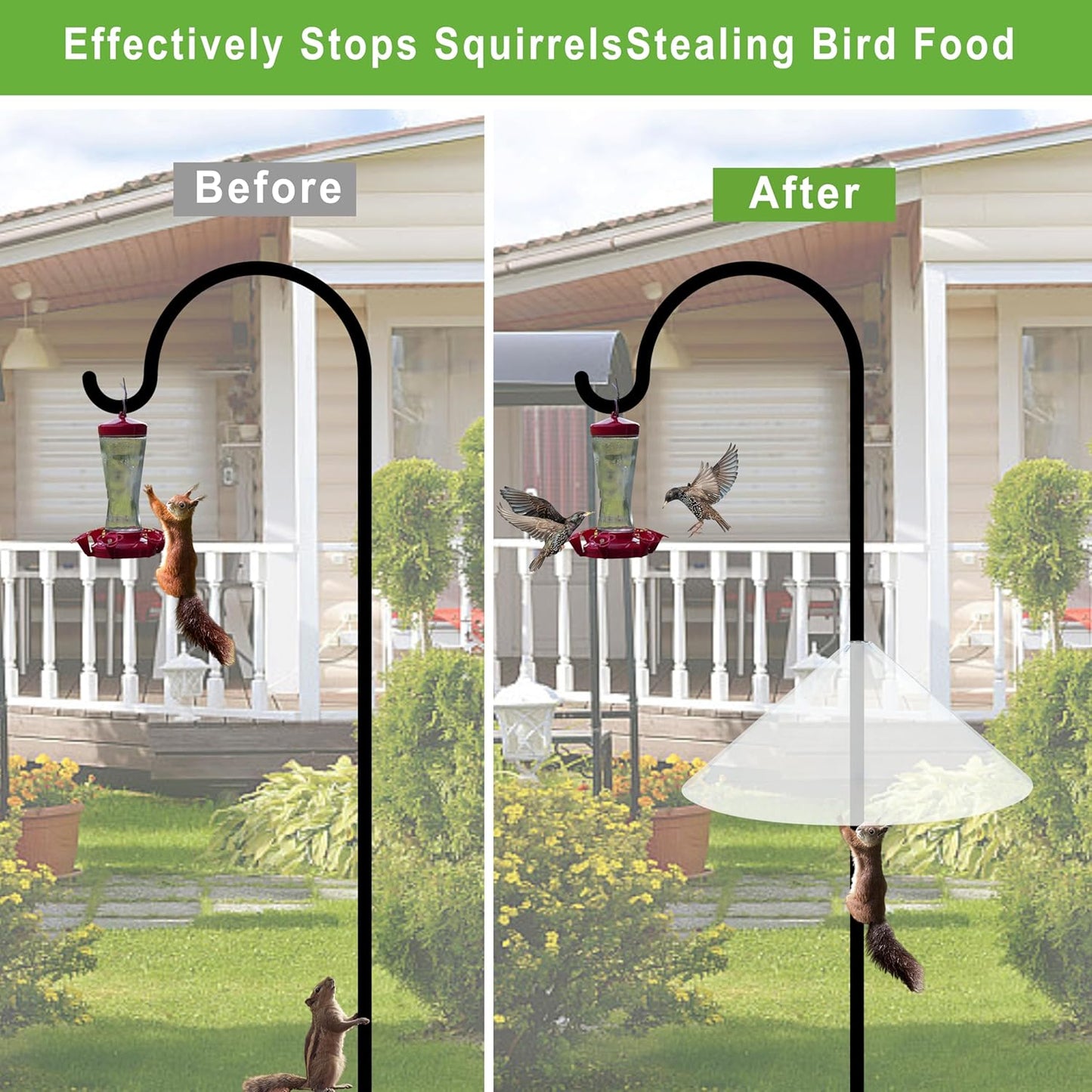 Squirrel Baffle for Bird Feeder Pole - 19 Inch for Shepherd’s Hook, Squirrel Proof Cone (1 Pack, Transparent)