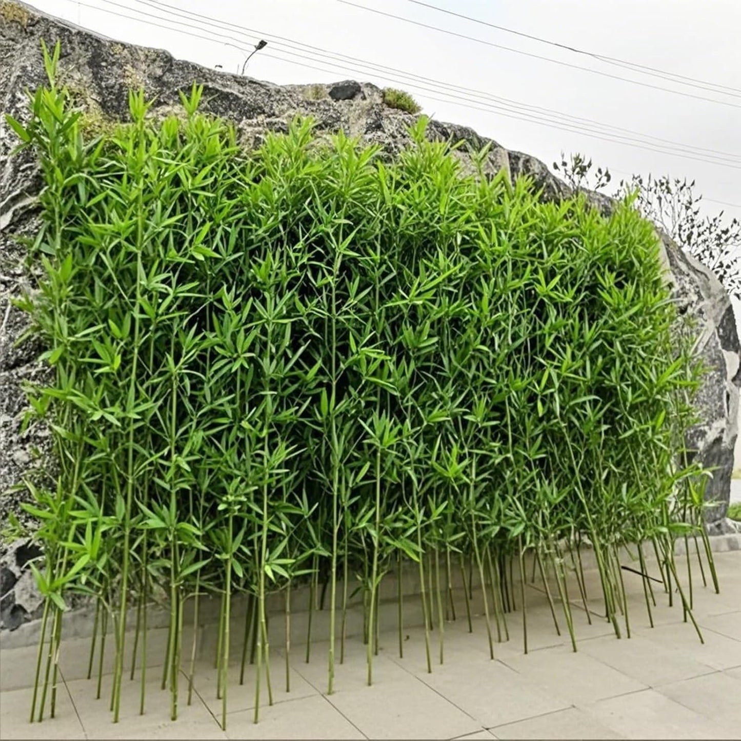 Outdoor Indoor Artificial Bamboo Plants Trees with Leaves, Fake Faux Silk Greenery Wall DIY Decor Screen for Landscaping Privacy, Garden Fence, Courtyard Entrance & Room Separator Decor(5 Bamboo,1m/3.