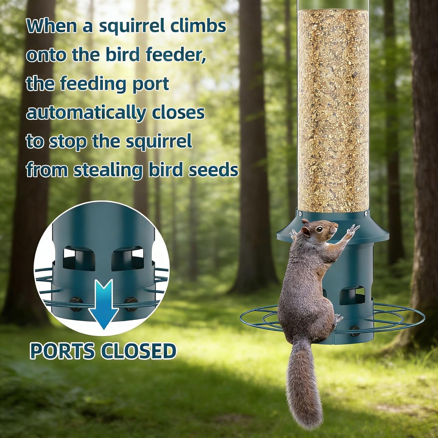 Metal Squirrel Proof Bird Feeders for Outdoors Hanging 4.0 LB Large Ca