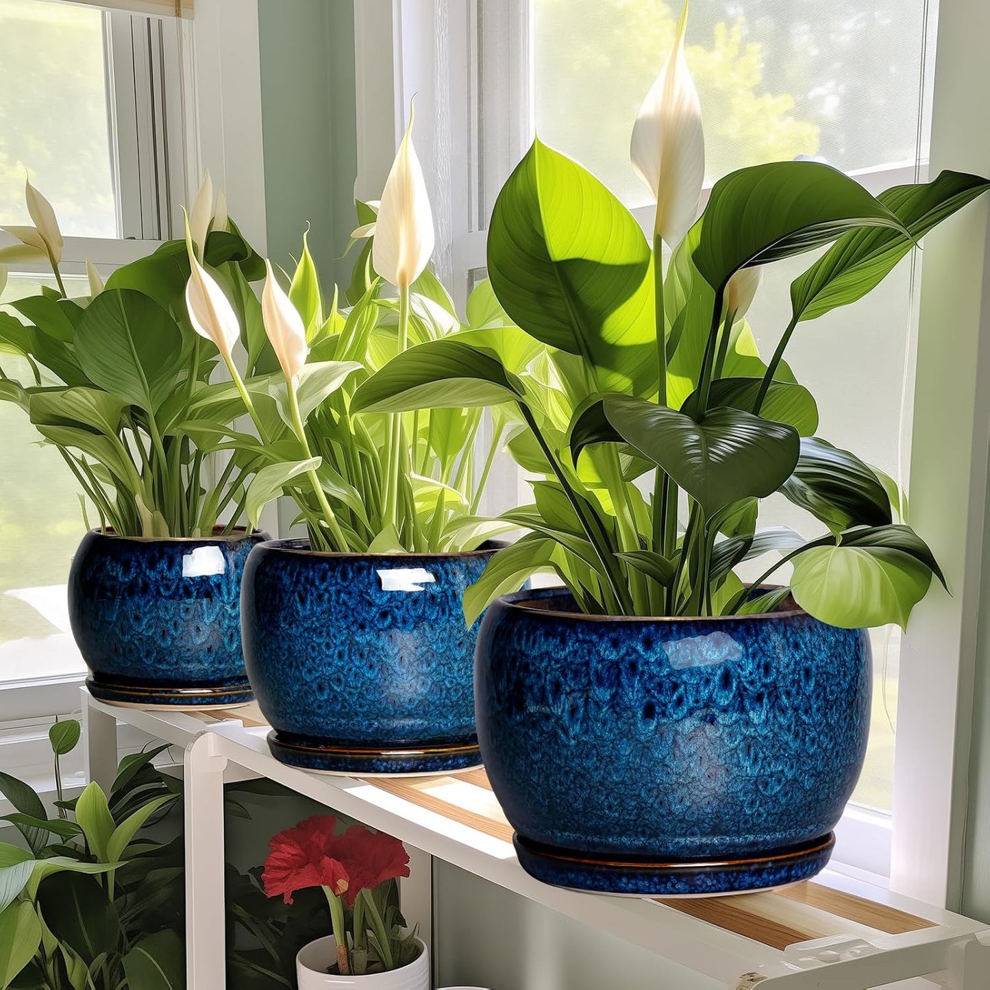 SQOWL 10 Inch Plant Pot - Ceramic Planter Pot with Drainage Hole and S
