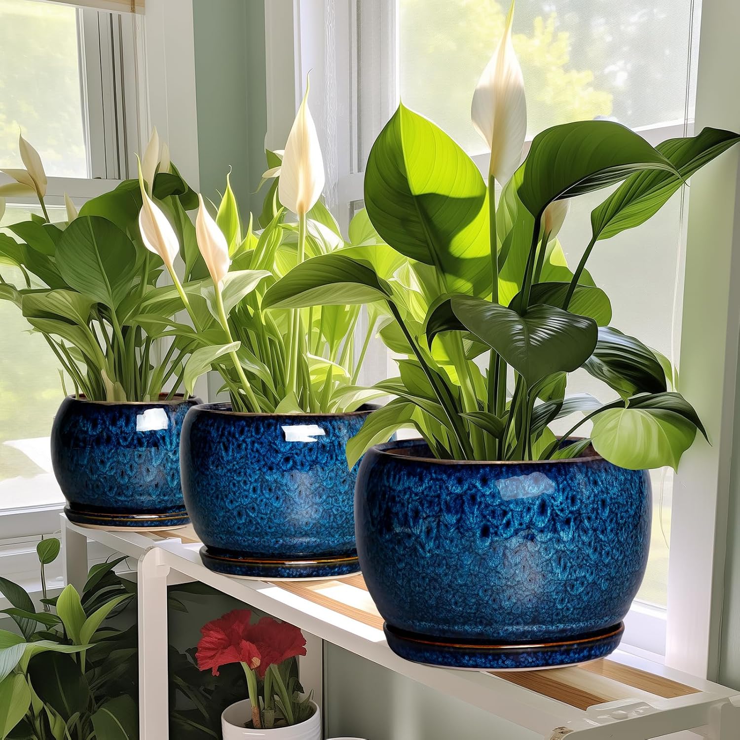 SQOWL 10 Inch Plant Pot - Ceramic Planter Pot with Drainage Hole and S