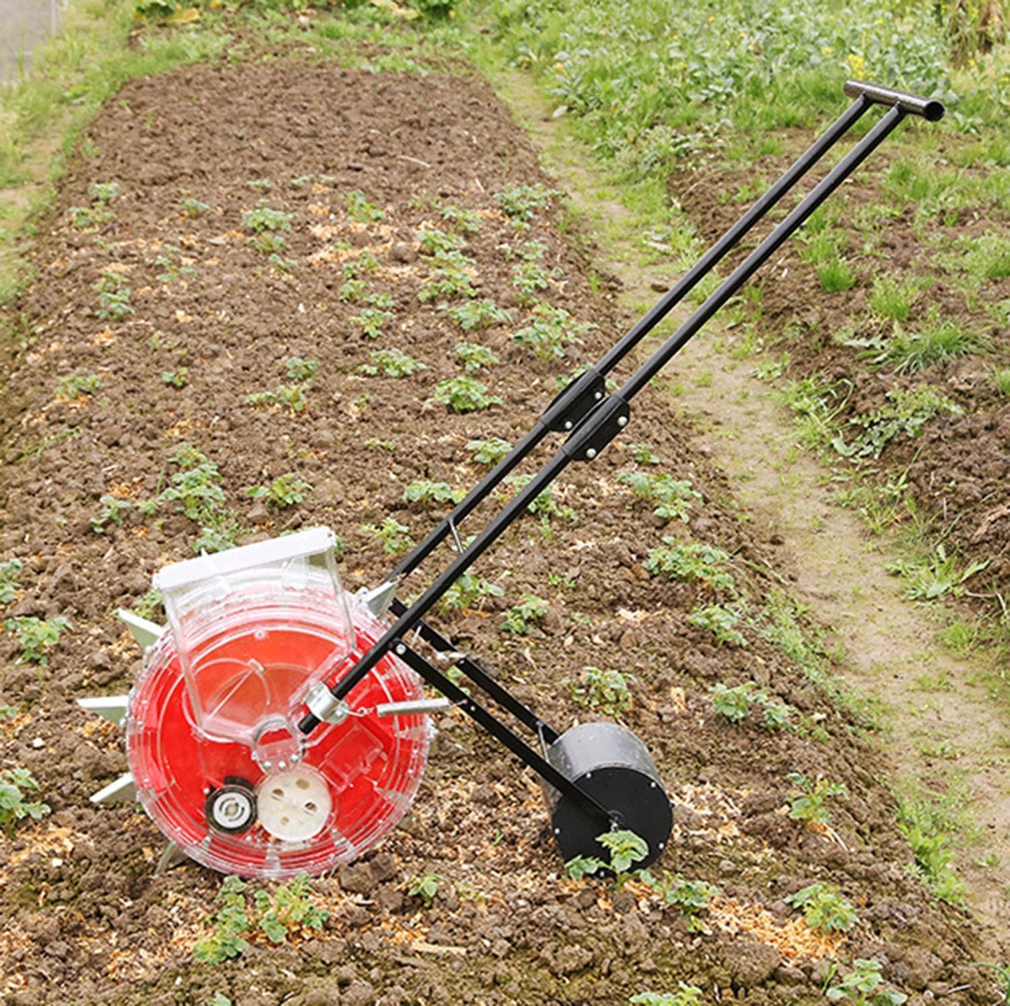 Adjustable Hand Push Garden Seeder - 12 Holes Corn Planter for Soybeans, Peanuts, Cotton – Efficient Seed Planting Tool for Home Gardeners and Farmers