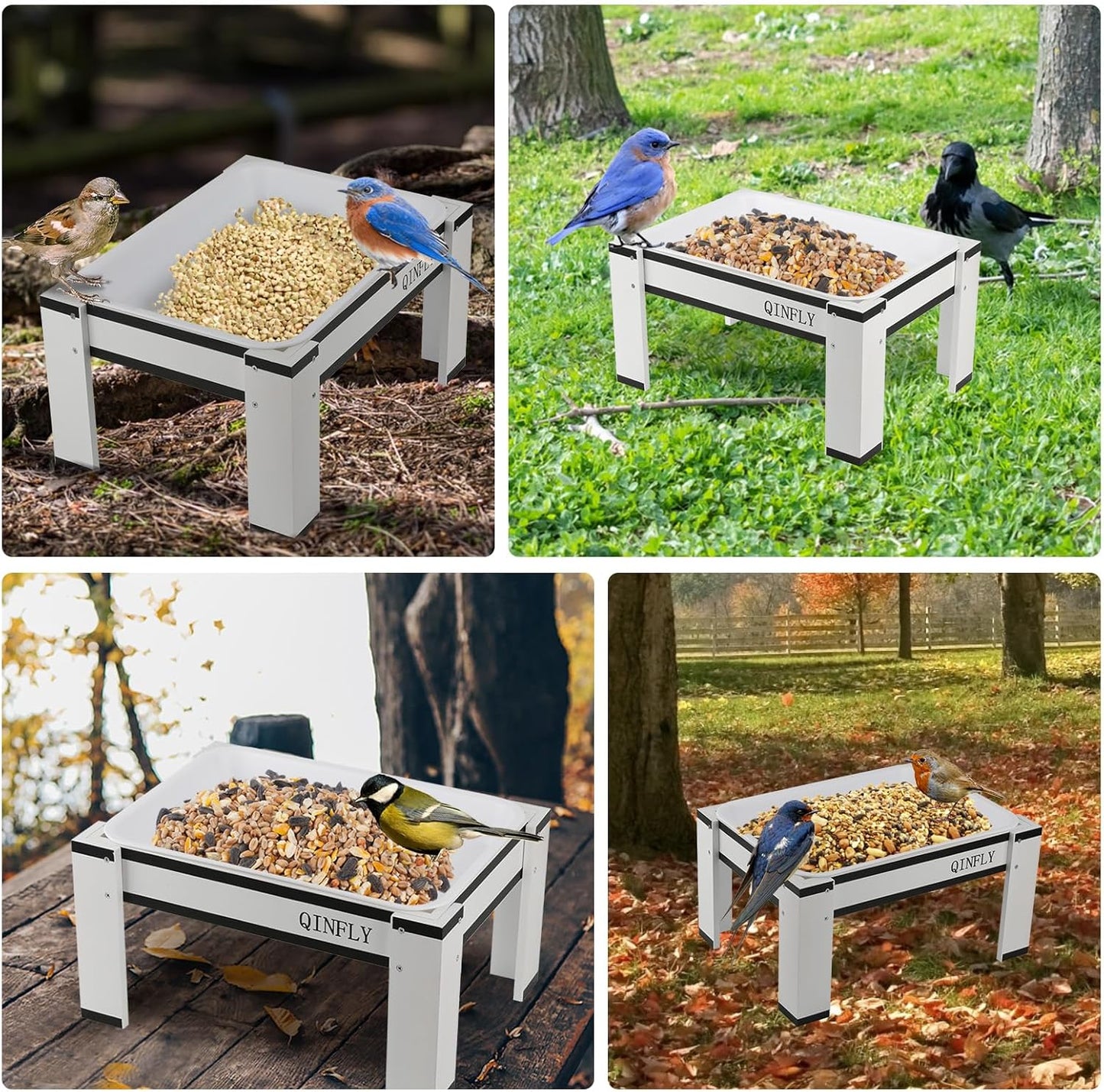 Chicken Feeder or Waterer Kit,Ground Wooden Platform Feeders with Removable Plastic Tray for Wild Bird,Bluebird,Chicken