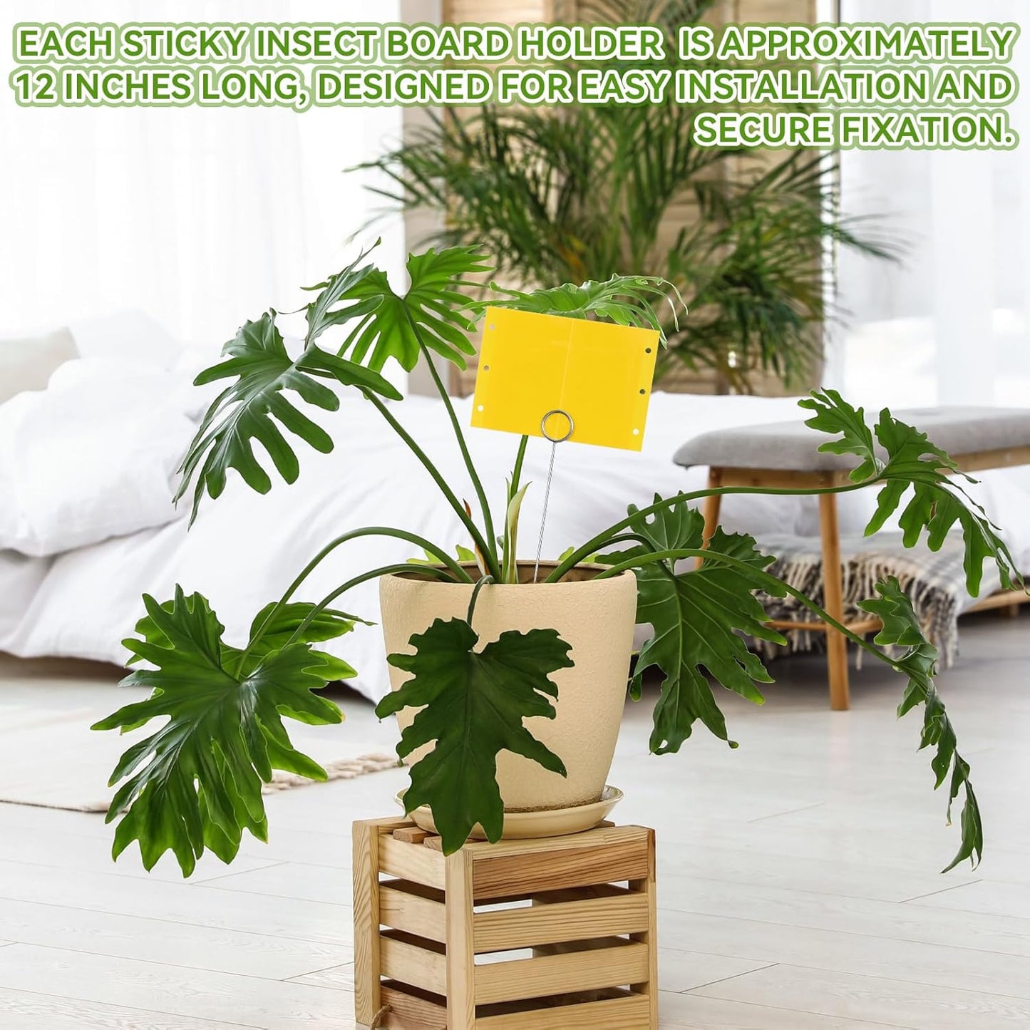 50 Pcs 12 Inch Dual-Sided Yellow Fruit Fly Traps Kit Includes 25 Stick
