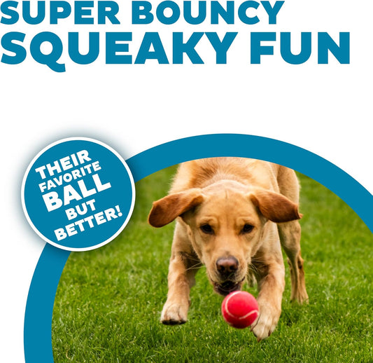 Outward Hound Squeaker Ballz – Squeaky Tennis Balls for Dogs Under 50 