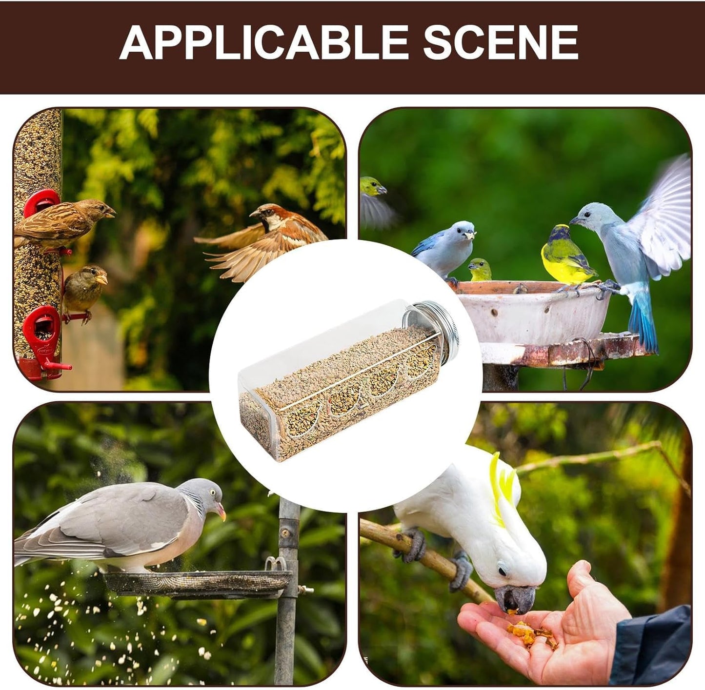Quail Feeder - Clear No Bird Feeding Bottle | Portable Cage Feeder with 4 Bear Shaped Feeding Ports, Transparent Container, Spill Reducing Design & Easy Refill System for Quail Parrots Budgies Fi