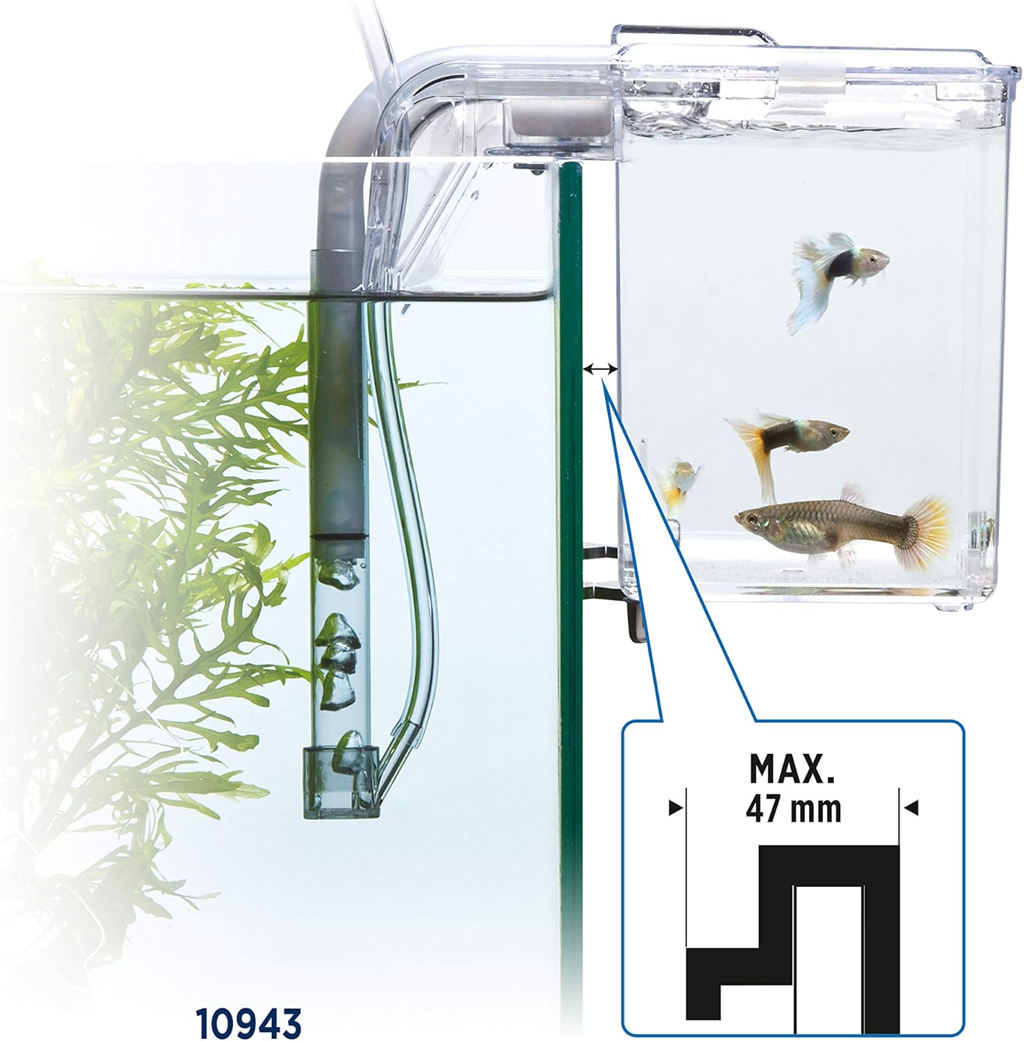 Fluval Multi-Chamber Holding and Breeding Box, Large – Up To 3 Separat
