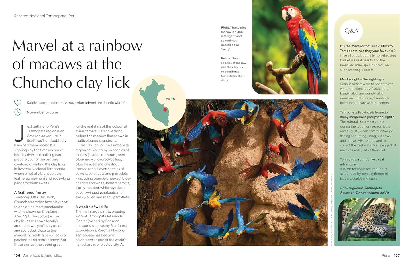 Lonely Planet The Joy of Birdwatching