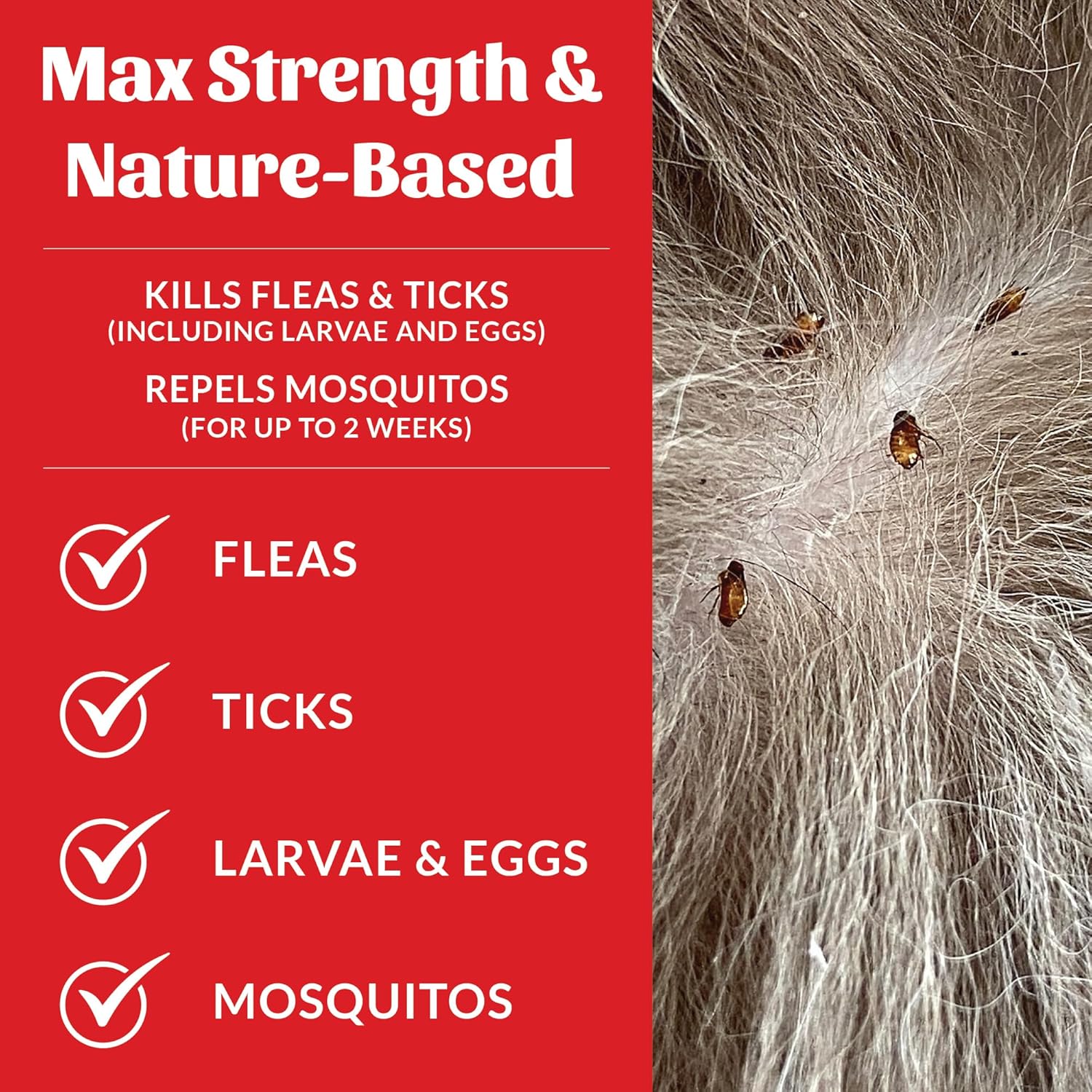 Skout's Honor Flea and Tick Shampoo for Dogs - Natural Peppermint & Ce