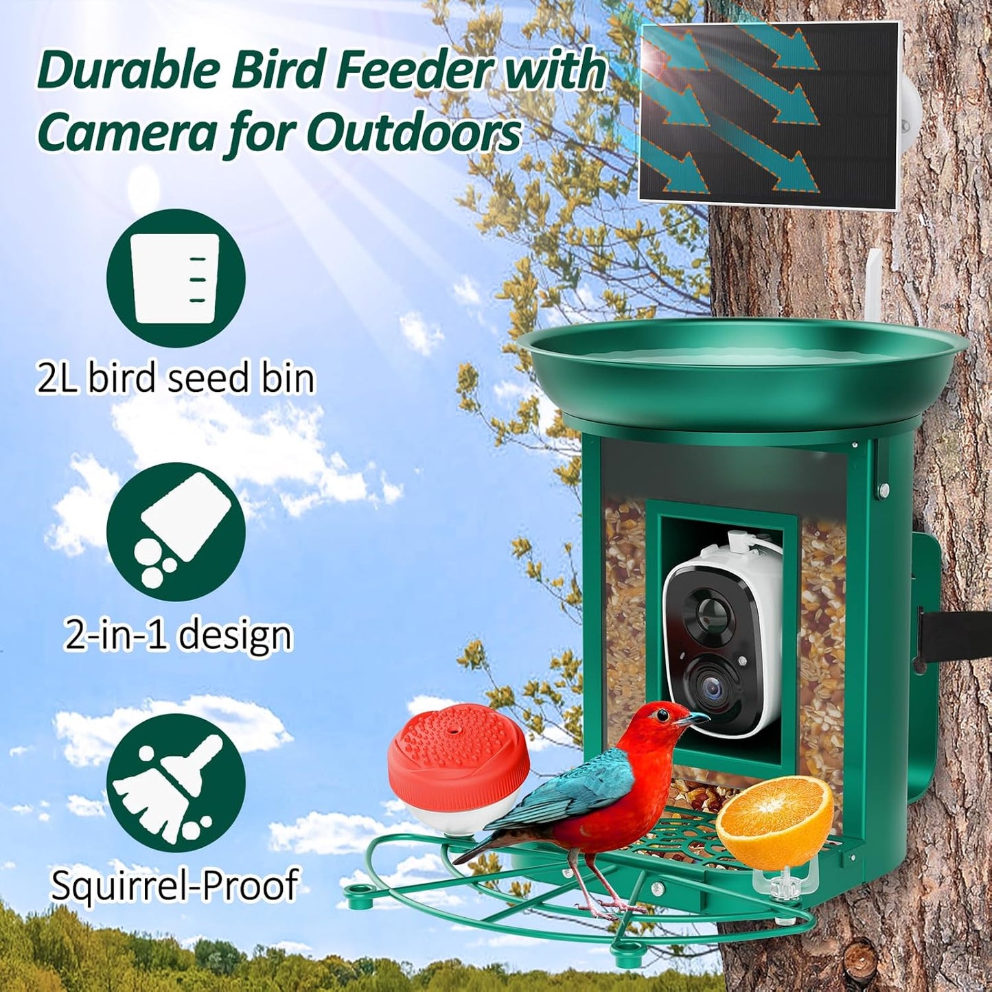Bird Feeder with Camera, 2K Birds Camera with 3-in-1 Feeding, Drinking, and Bathing | AI Identify, Real-Time Monitoring and Alerts | IP65 and Squirrel-Proof for Outdoors, Gift for Bird Lovers