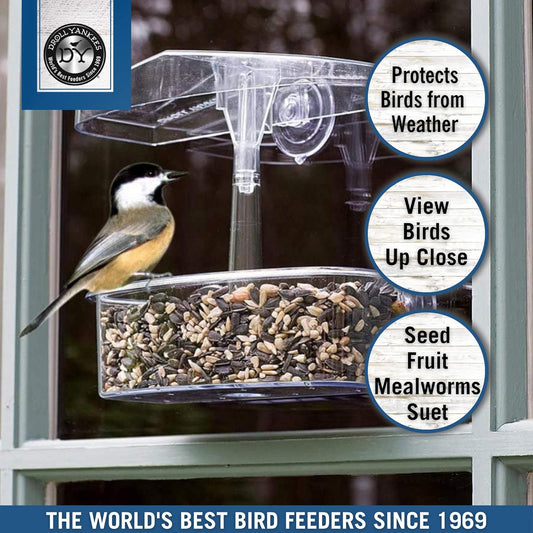 Droll Yankees Observer Window Bird Feeder with Suction Cups, 2 Cup Capacity, Clear