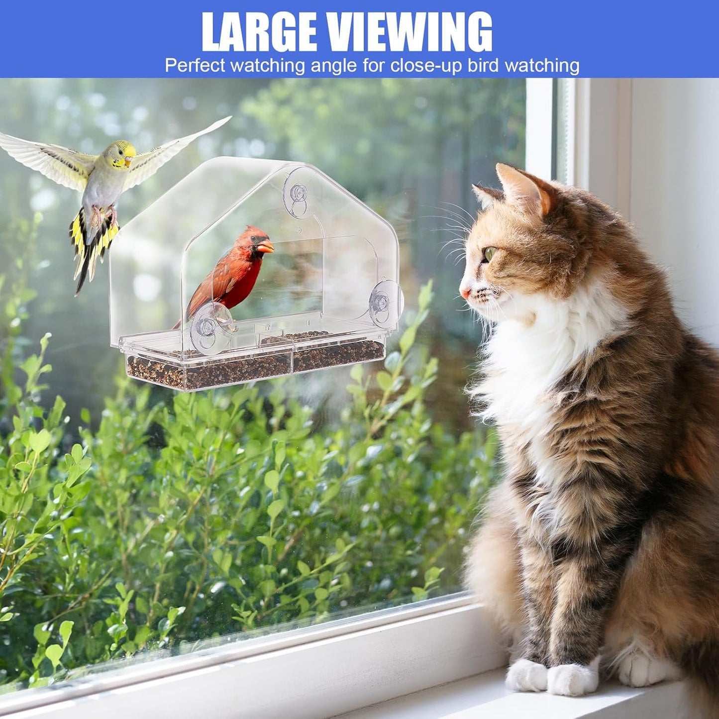 Clear Acrylic Window Bird Feeder for Outside with Suction Cups Transparent Birds Houses Tray for Viewing Wild Bird Watching Gifts for Cats, Garden Decor