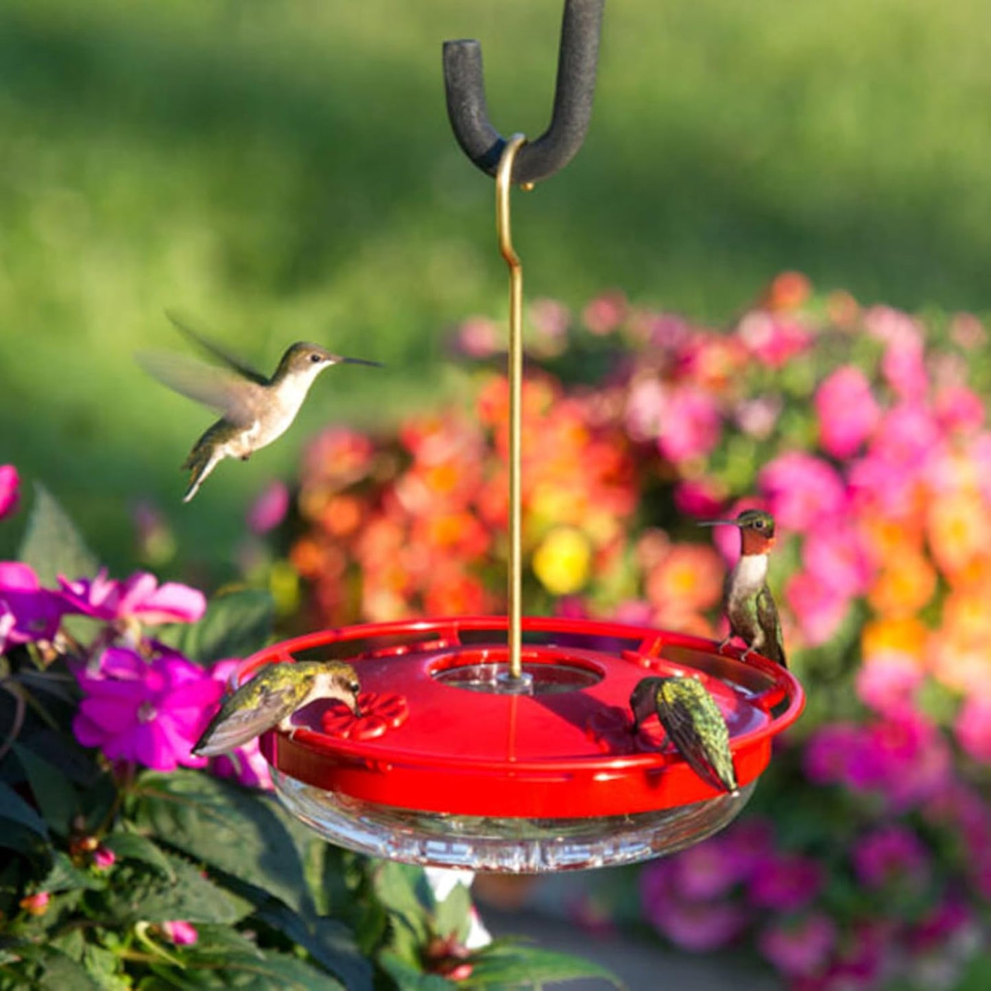 Aspects HummZinger HighView 12 Oz Hanging Hummingbird Feeder - 429, Red