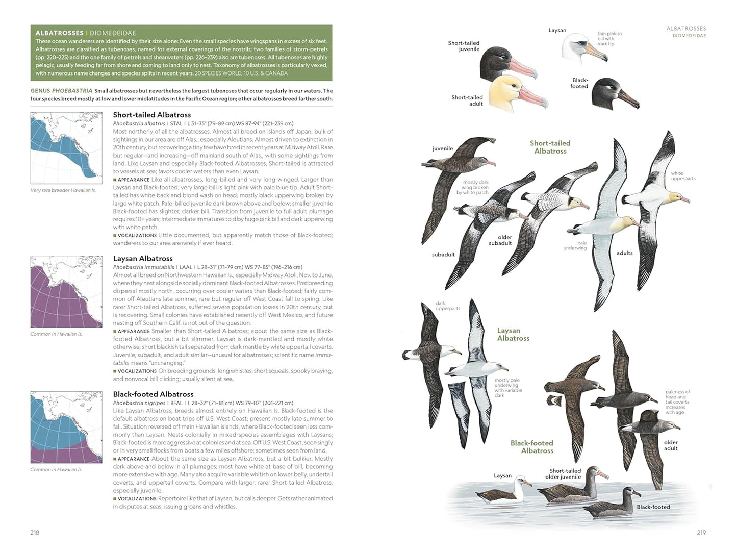 National Geographic Field Guide to the Birds of the United States and 
