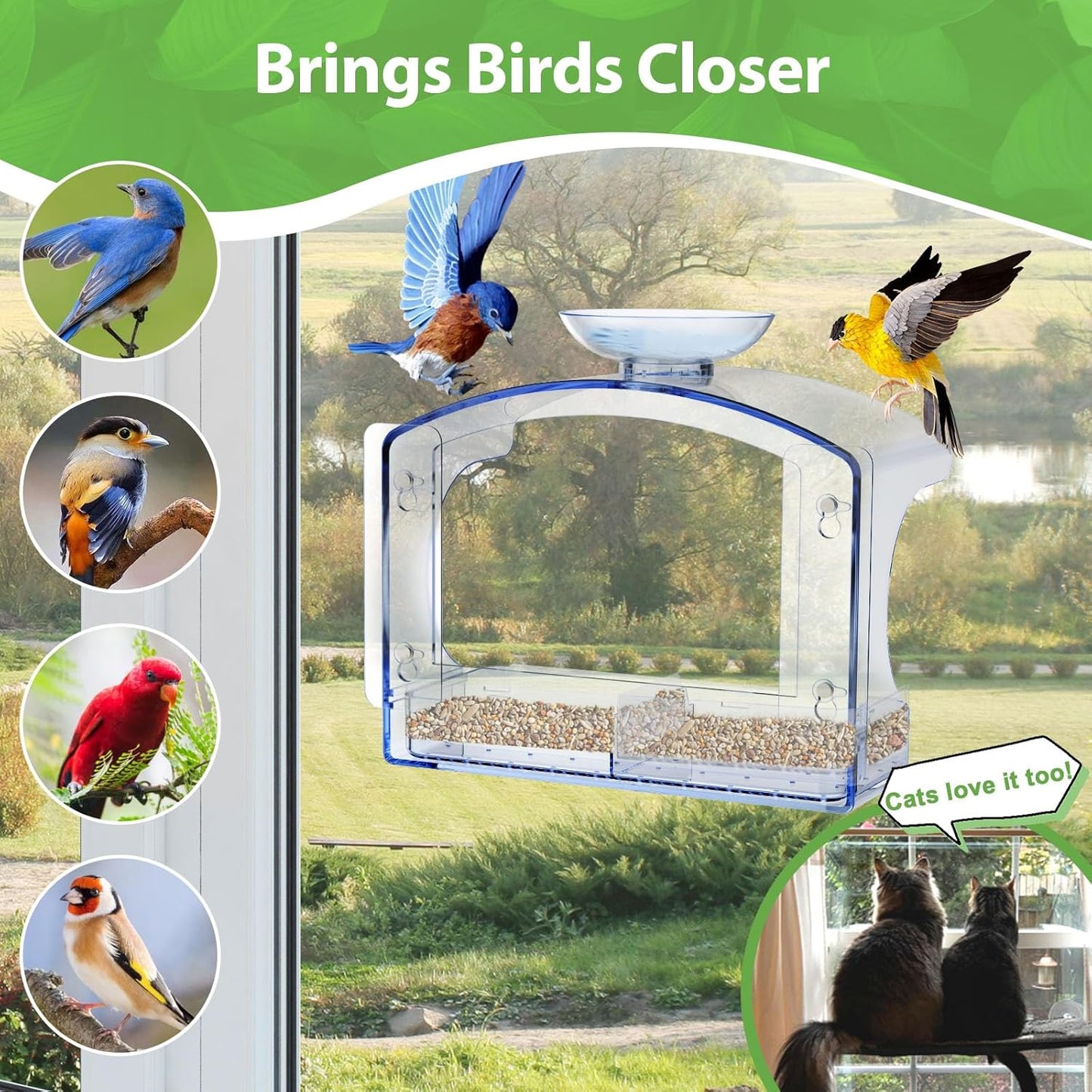 Goodeco Clear Window Bird Feeder - Outdoor Window Feeder with Bird Water Bowl & Strong Self-Adhesive Hooks for Outside Watchings - with a Brush, Easy to Clean, Ideal Gifts for Mom Parents