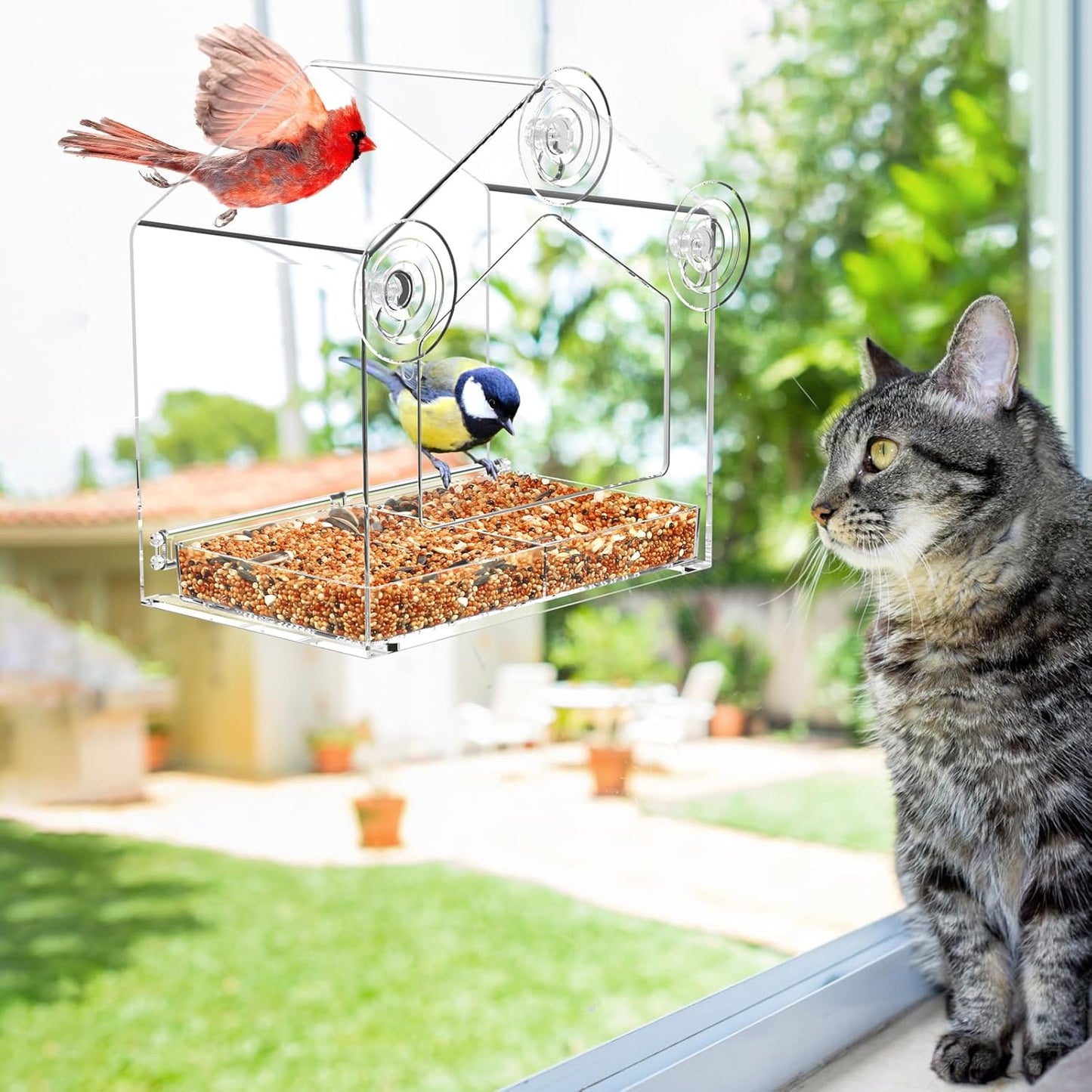 Window Bird Feeder with Strong Suction Cup and Self-Adhesive, Clear Window Birdfeeder for Larger Viewing, Squirrel-Proof Window Bird for Cats Outdoors