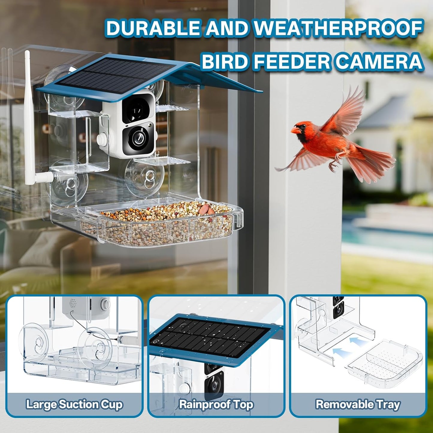 Smart Bird Feeder with Camera Solar Powered, 2.4Ghz/5Ghz WiFi Instant Notifications Smart Window Bird Feeder for Outdoor, 2K HD AI Identify Birds SpeciesGifts for BirdLovers Kids Grandparents