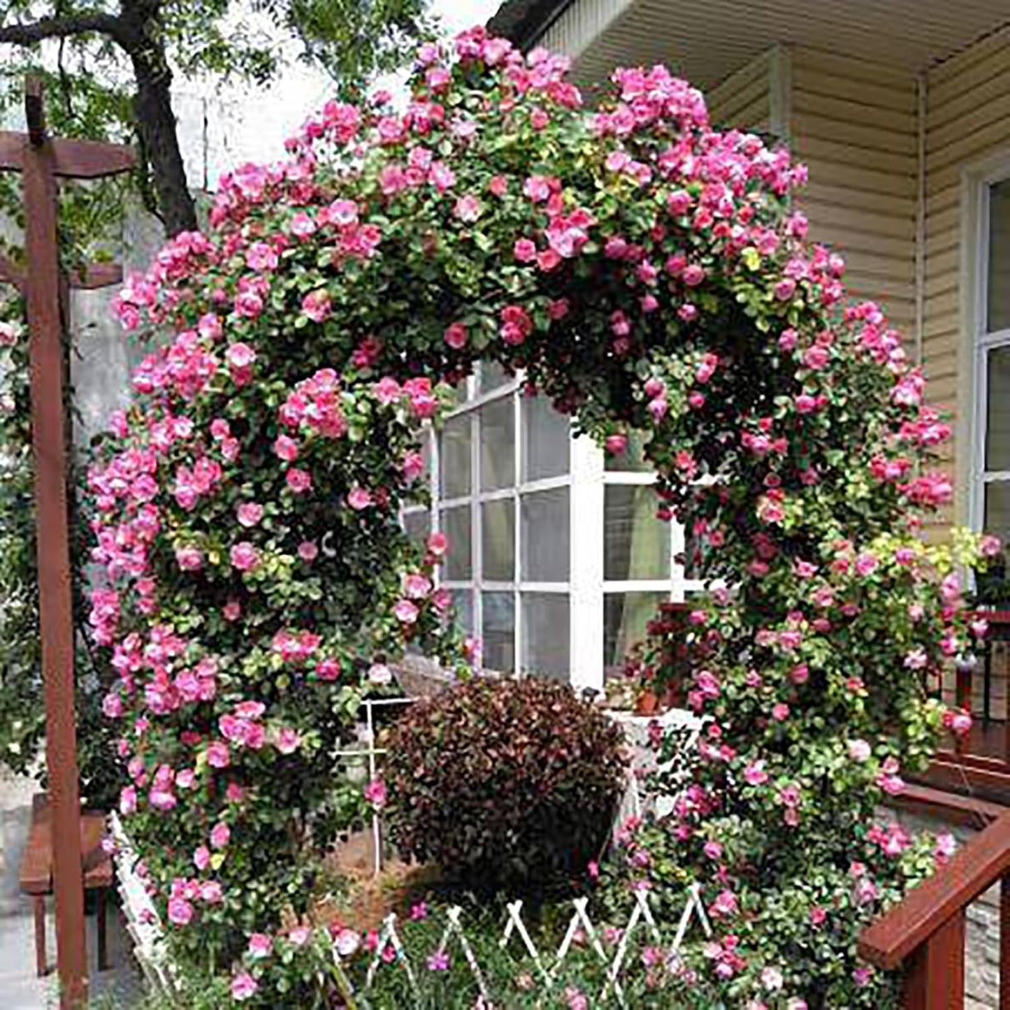 Adjustable Steel Garden Arch for Climbing Plants, Wedding Rose Arch, Outdoor Pergola, Garden Archway for Backyard & Lawn - Black, 120x220x40cm