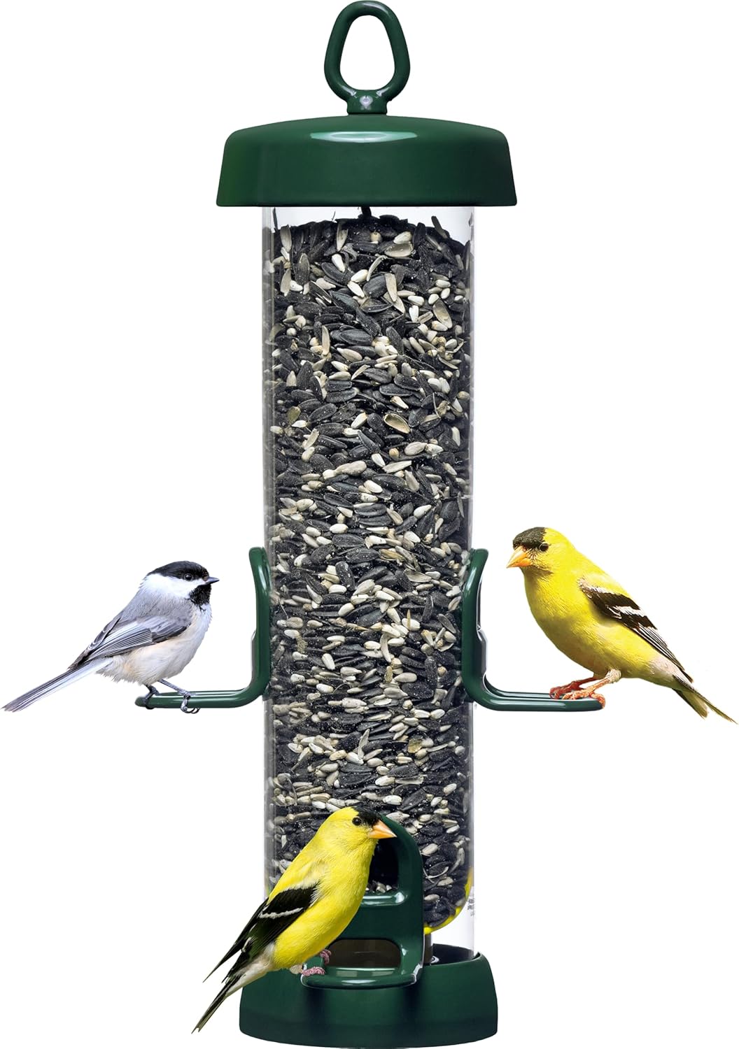 Brome Tube 150 Wild Bird Feeder, Metal, 4 Seed Ports, 2.6 lb Capacity, Extra-Wide Perches, Easy to Fill & Clean, Pole-Mountable, Seed Tray Available