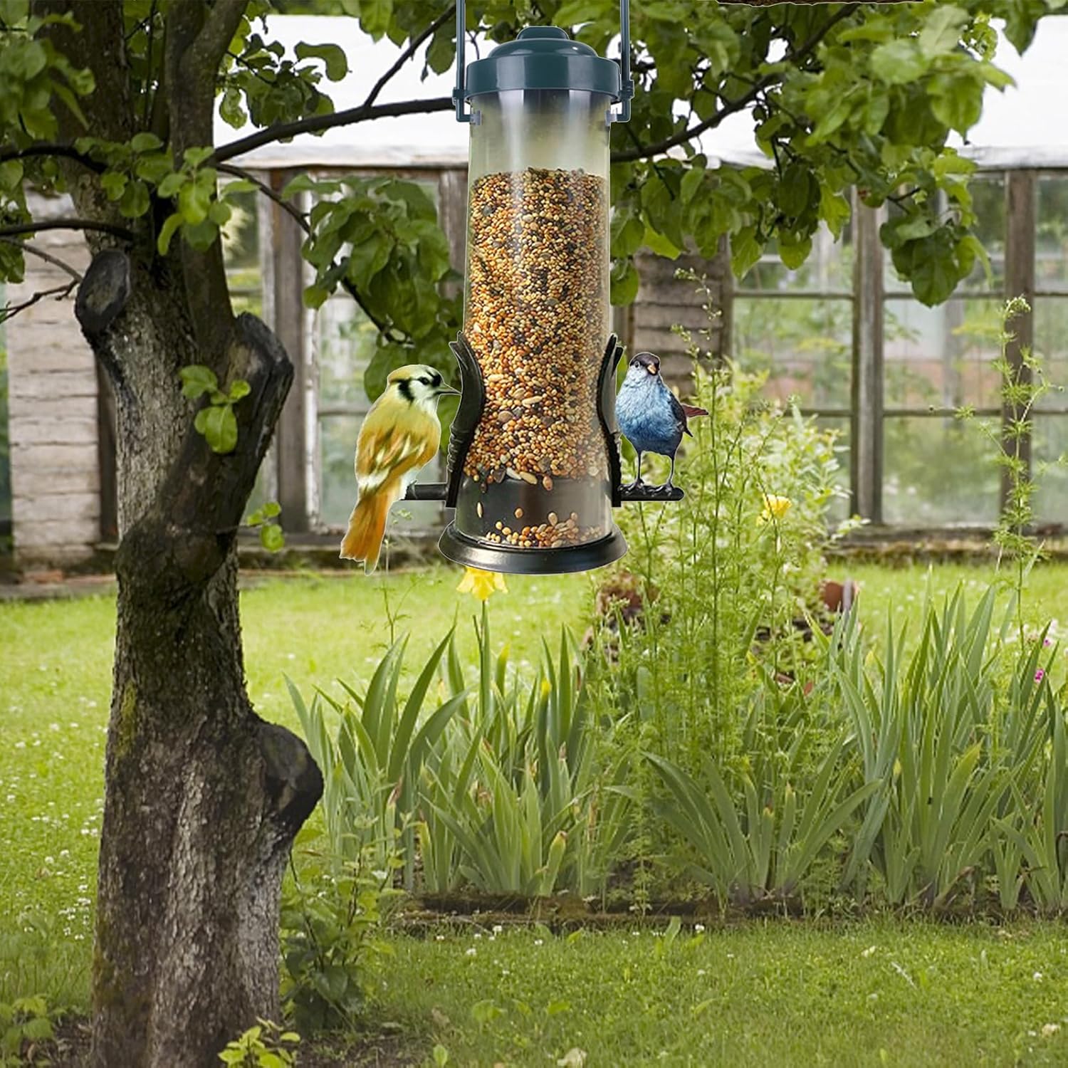 Small Bird Feeder, Squirrel Proof Container, Feeding Station with Auto