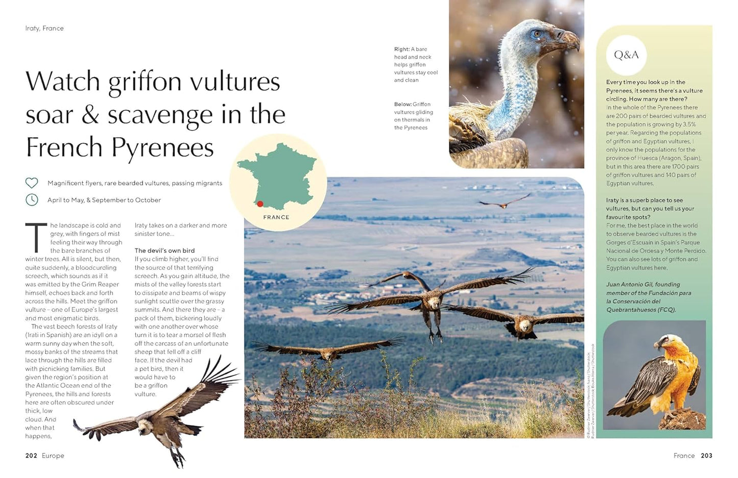 Lonely Planet The Joy of Birdwatching