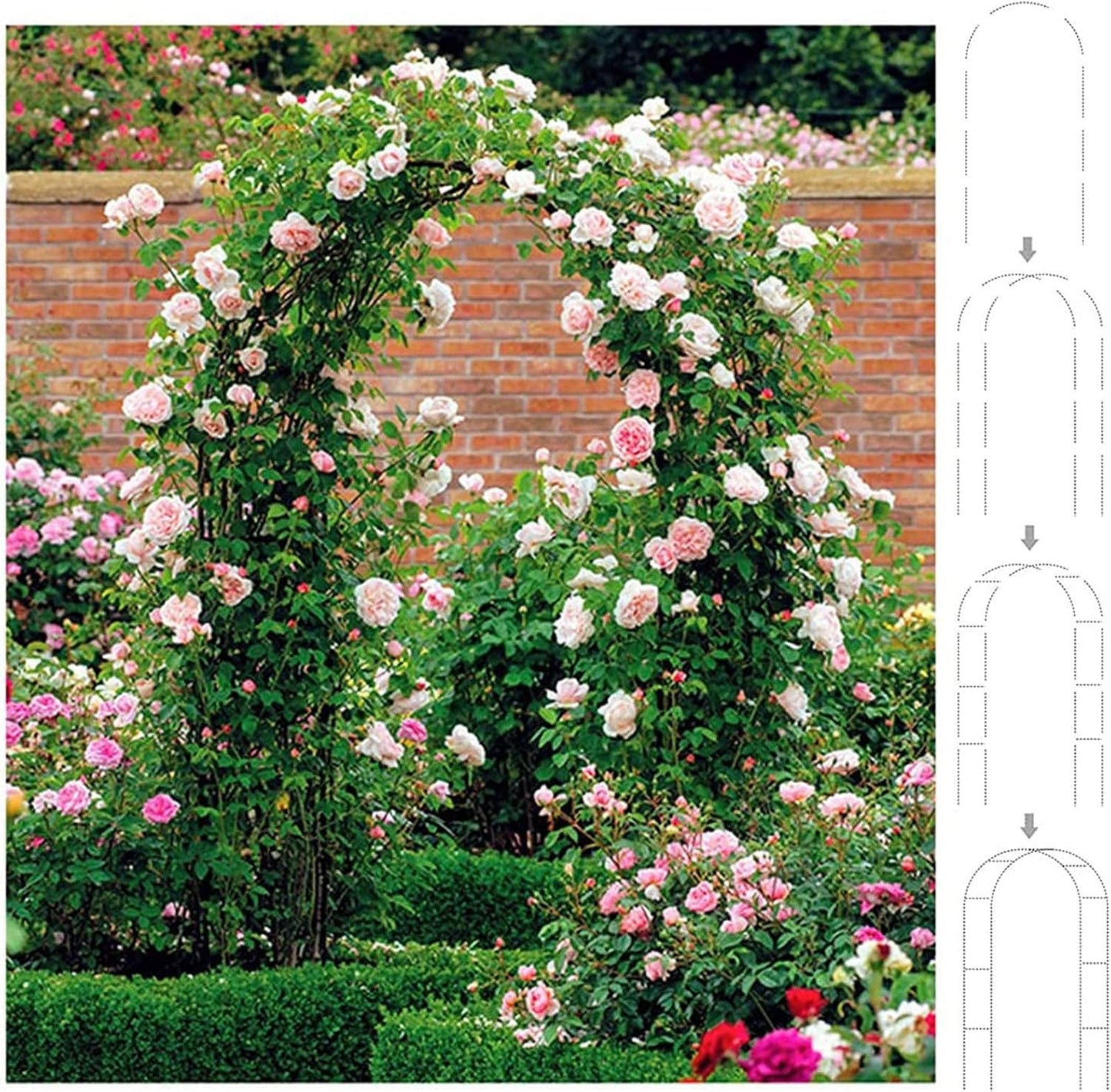 Heavy Duty Metal Garden Arch - Wrought Iron Climbing Plant Trellis, Floral Stand for Weddings & Events, Durable Outdoor Entrance Arbor, Rose Arch Decoration