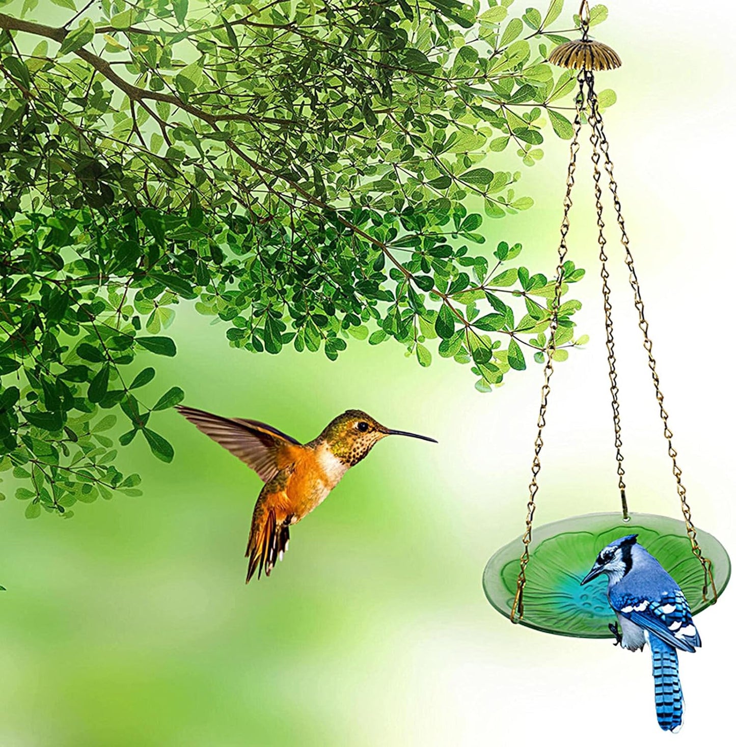 Bird Feeder,Floral Pattern Dish - Floral Pattern Window Bird Feeder,for Outdoor, Garden, Backyard, Porch, Park