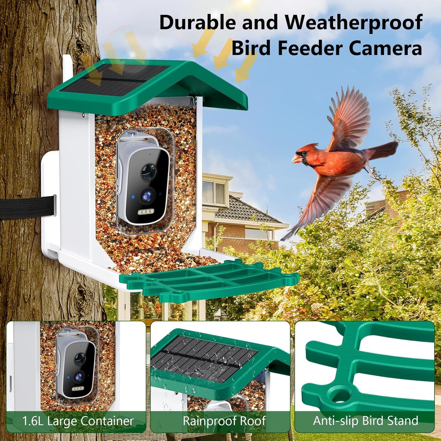 Smart Bird Feeder with Camera, AI Bird Species Identification Solar Po