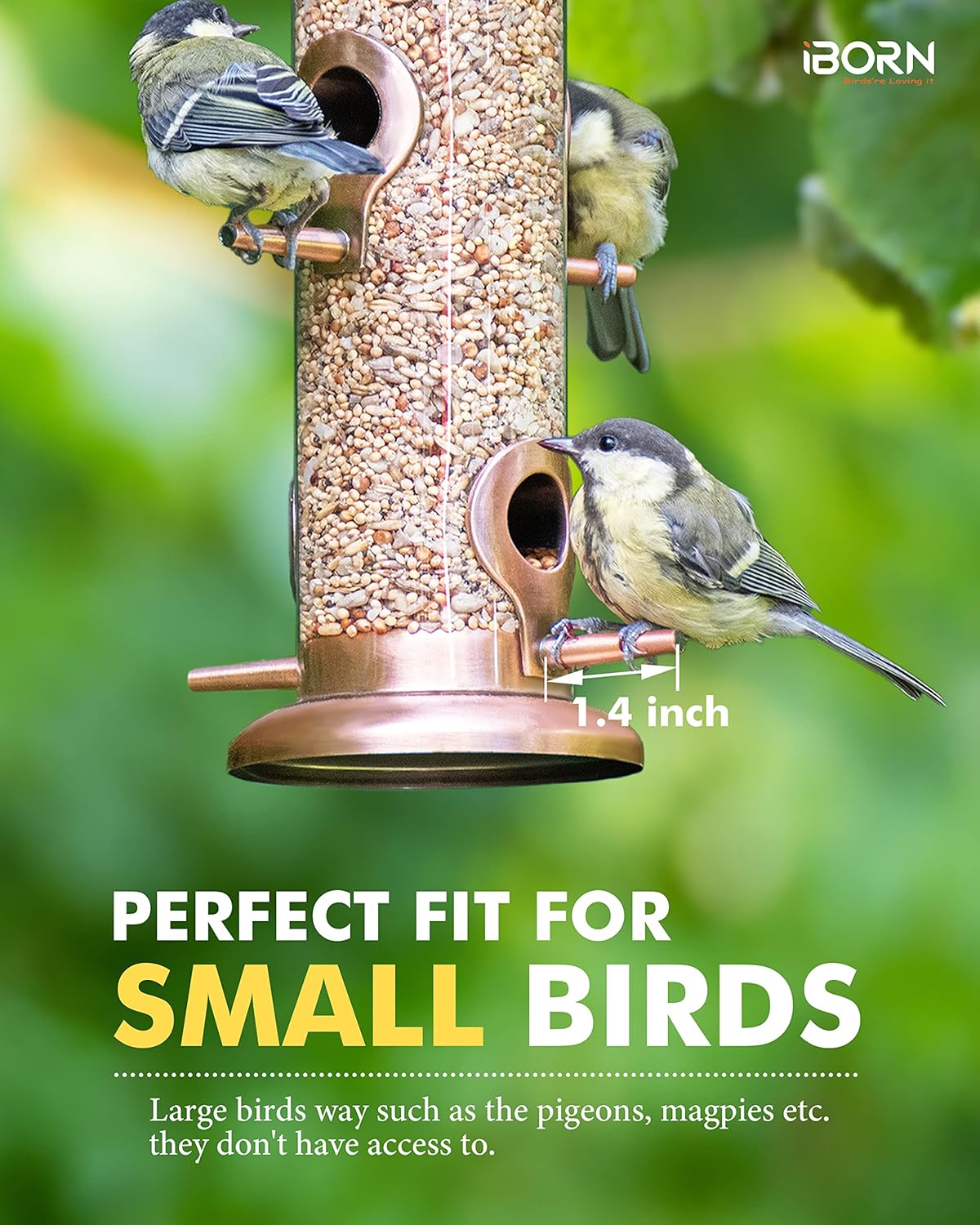 iBorn Metal Bird Feeders Brushed Copper Wild Bird Feeder for Outdoors Hanging All Metal Brushed Copper Finishing 15 Inch 6 Port(Seed is not Included)