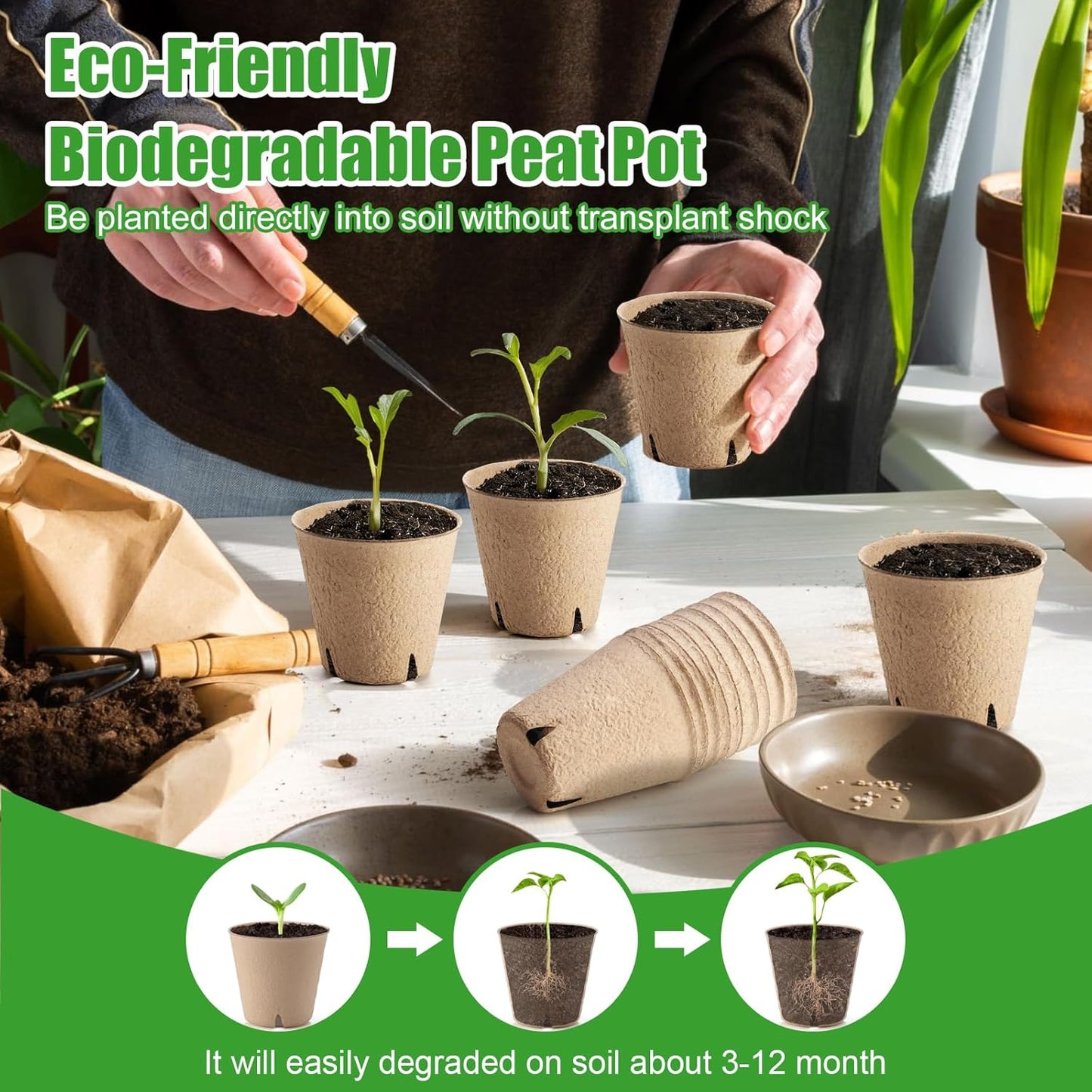 130 Pcs 3.15 Inch Peat Pots,Seed Starting Pots with Drainage Holes Rou