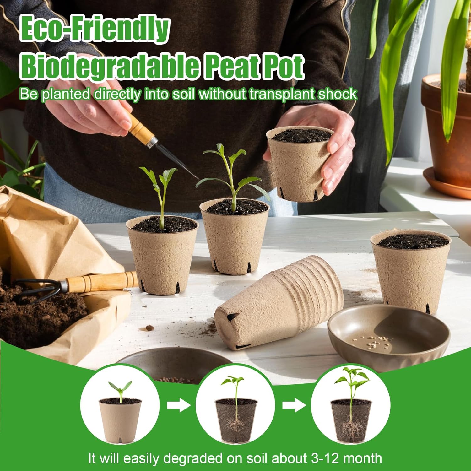 130 Pcs 3.15 Inch Peat Pots,Seed Starting Pots with Drainage Holes Rou